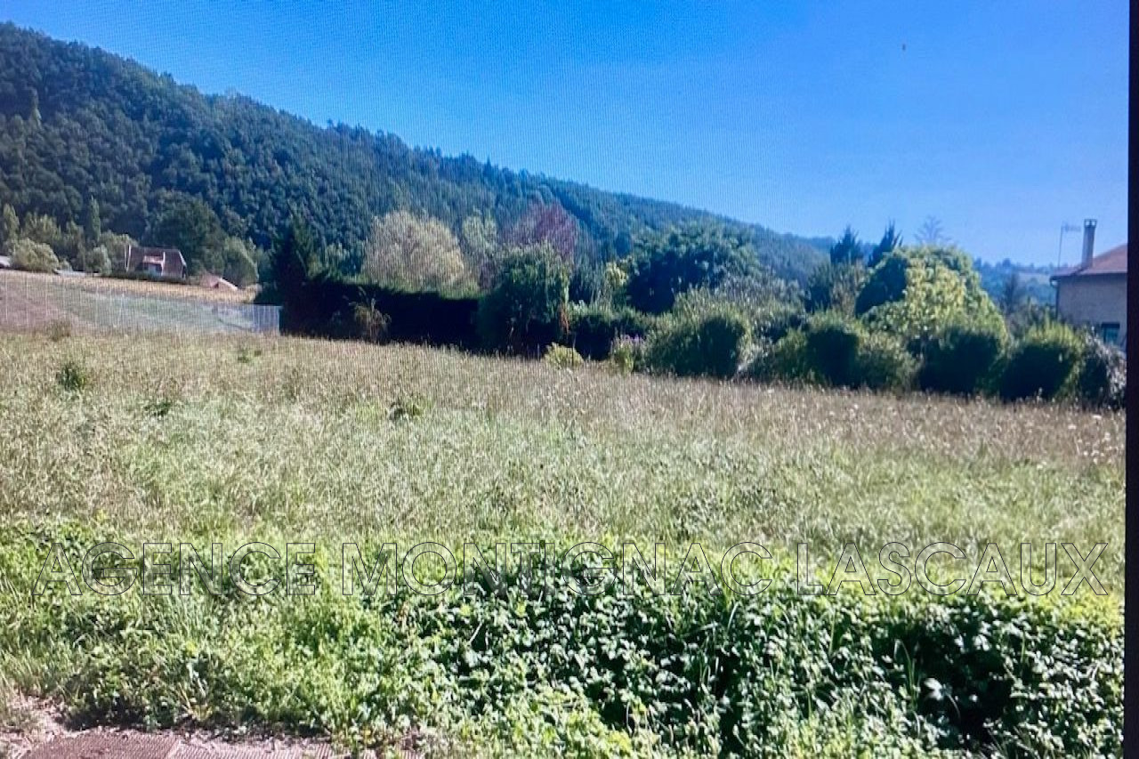 Agence immobilière de AGENCE MONTIGNAC LASCAUX