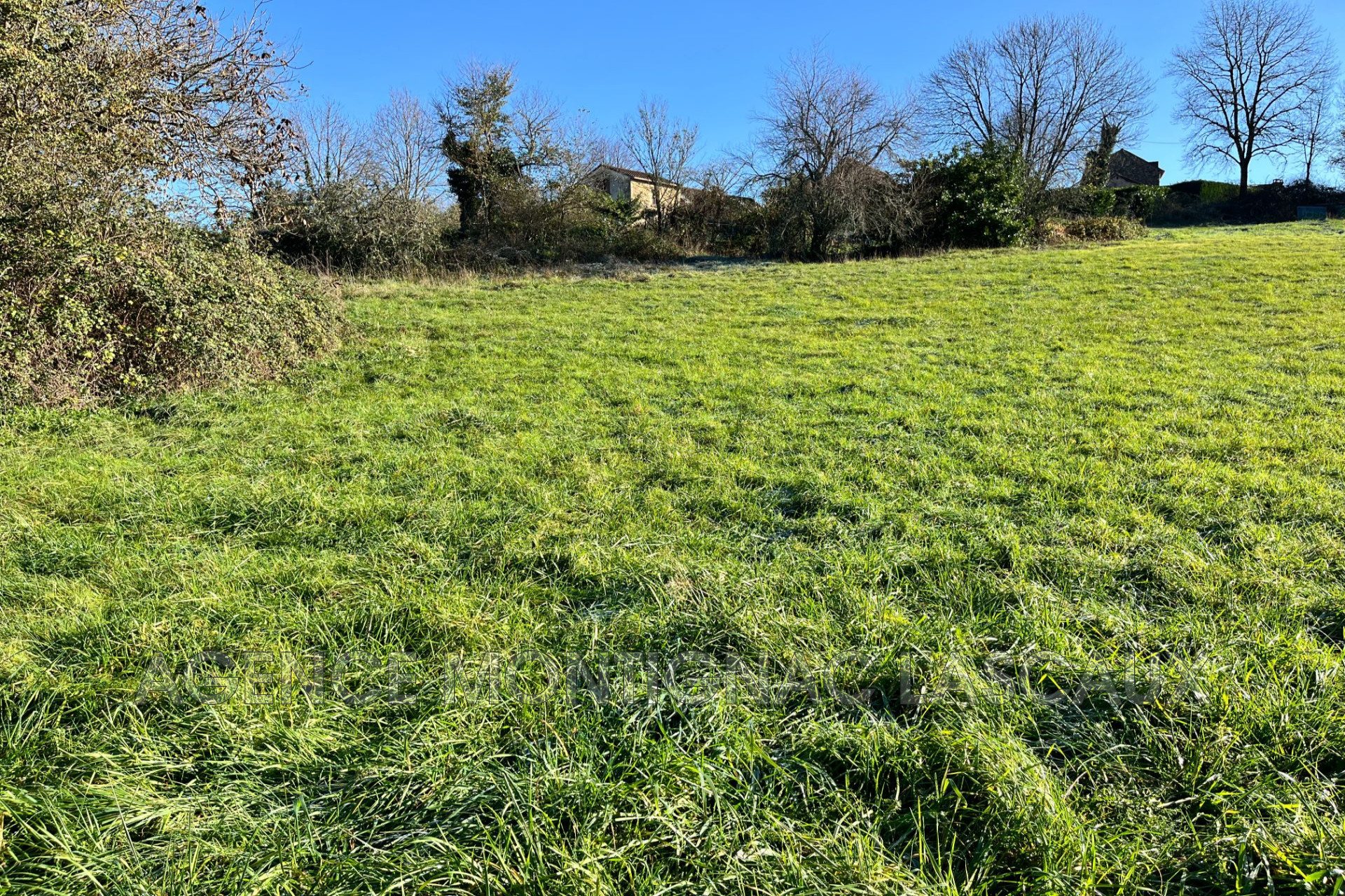 Agence immobilière de AGENCE MONTIGNAC LASCAUX