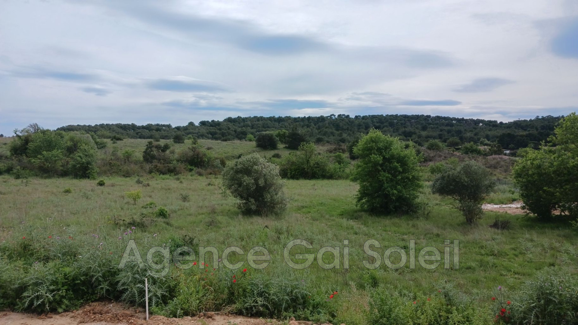 Agence immobilière de Agence Gai Soleil