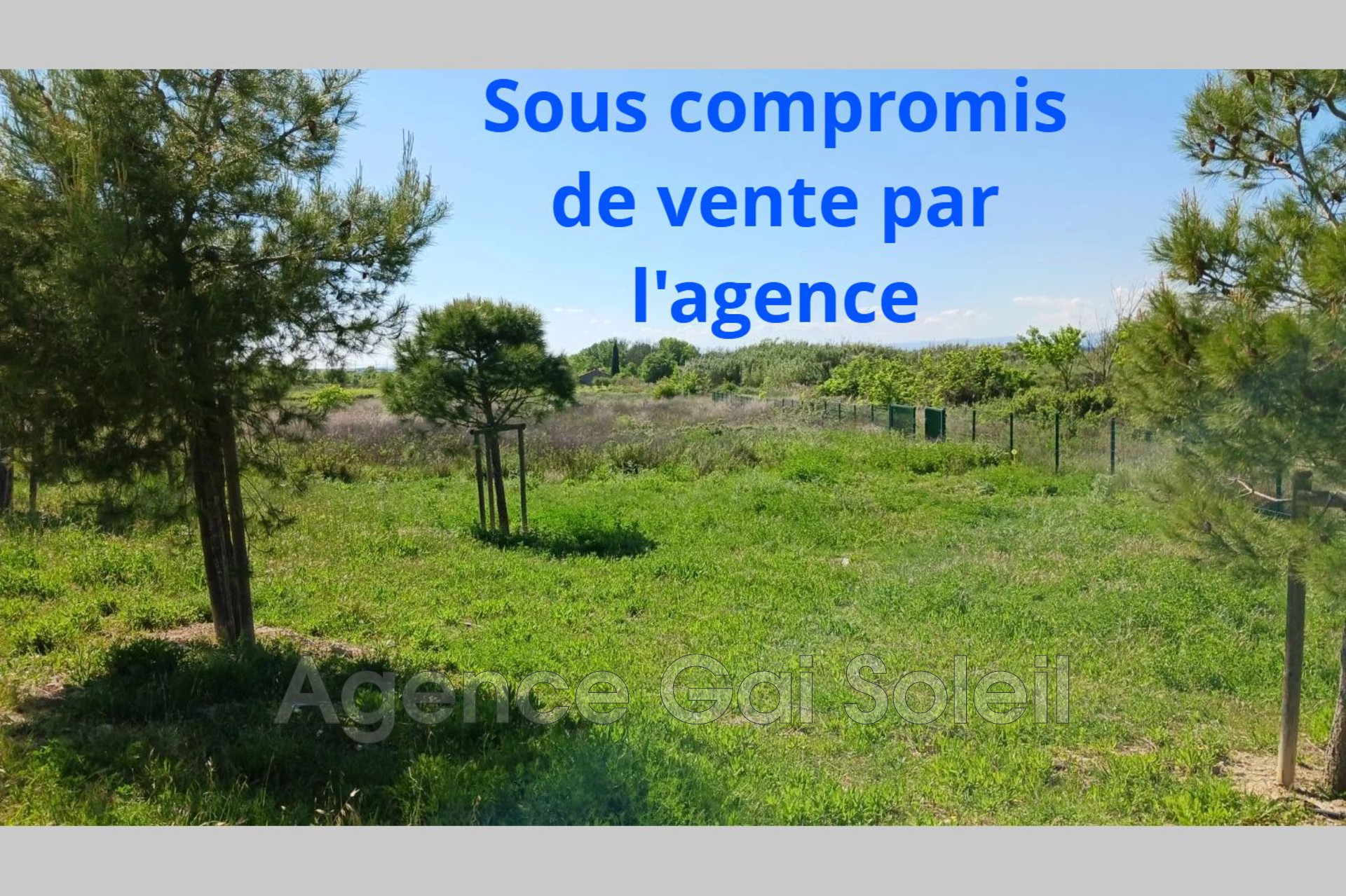 Agence immobilière de Agence Gai Soleil