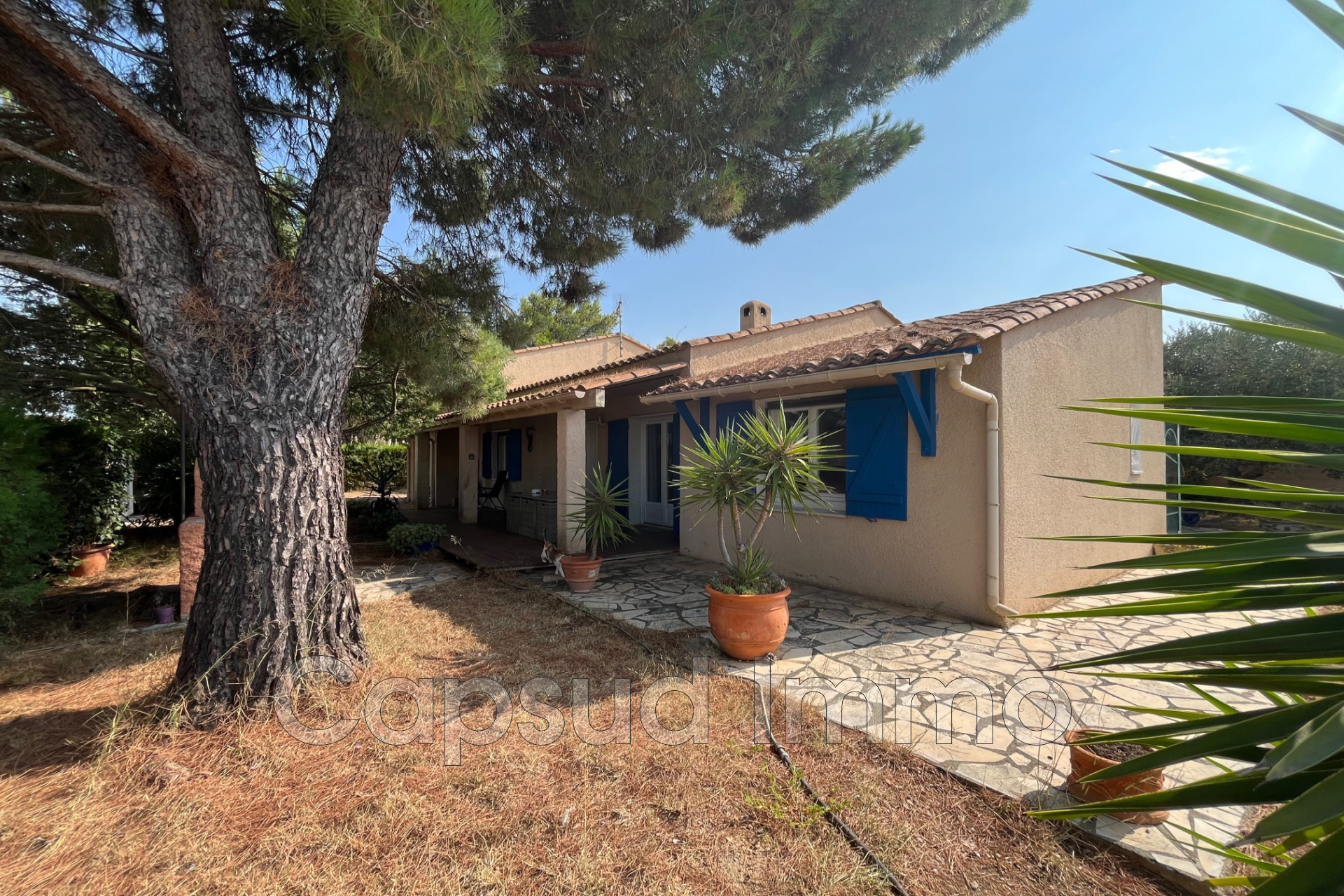 Agence immobilière de Capsud Immo