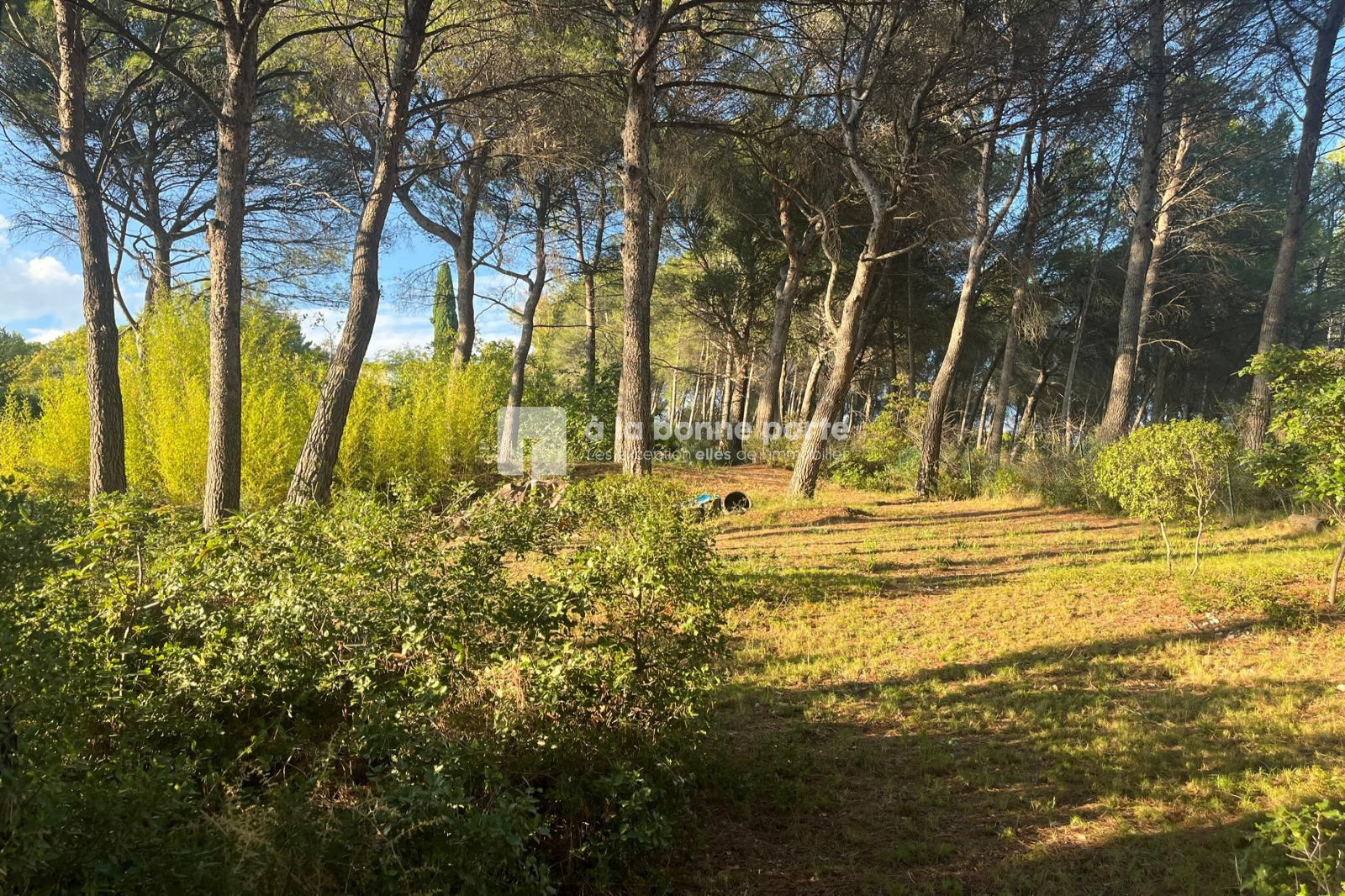 Agence immobilière de à la bonne porte