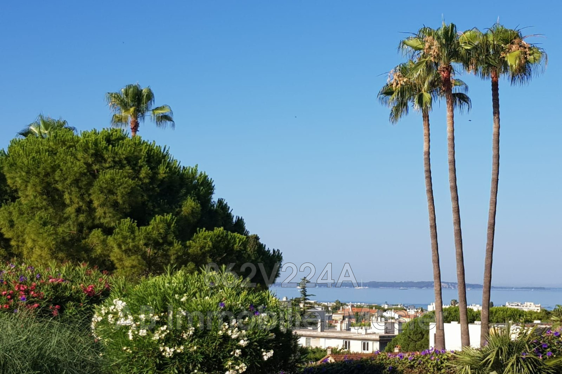 Agence immobilière de AB Immobilier Master