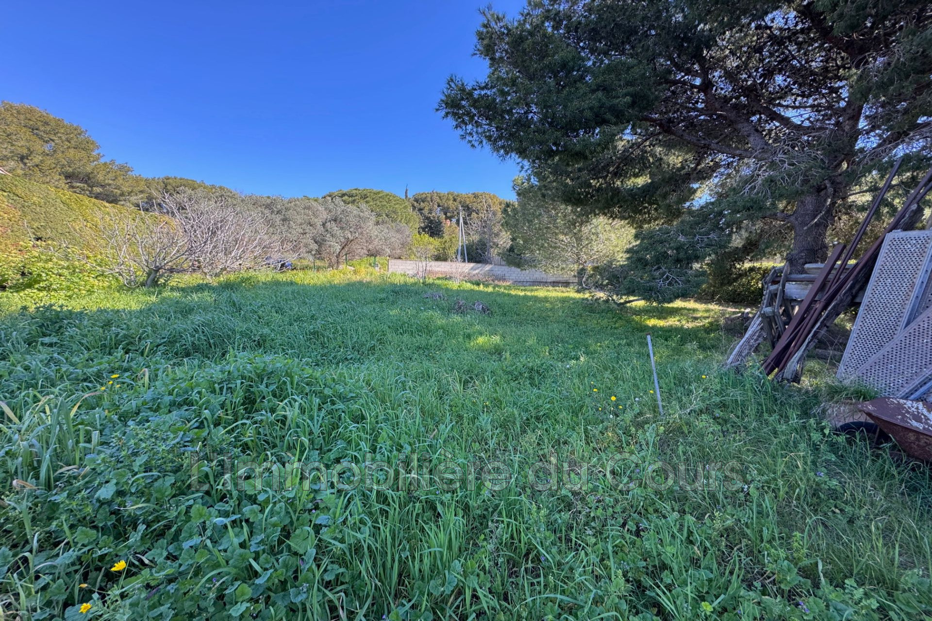 Agence immobilière de L'Immobilière du Cours