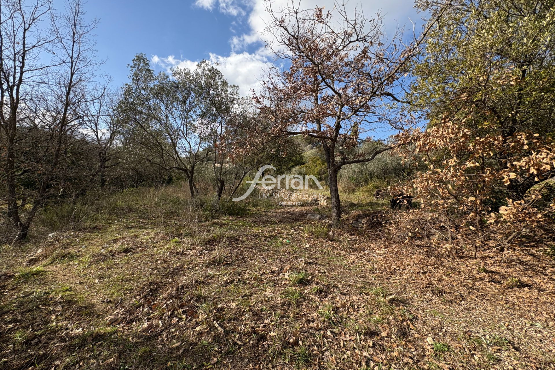 Agence immobilière de Agence Ferran