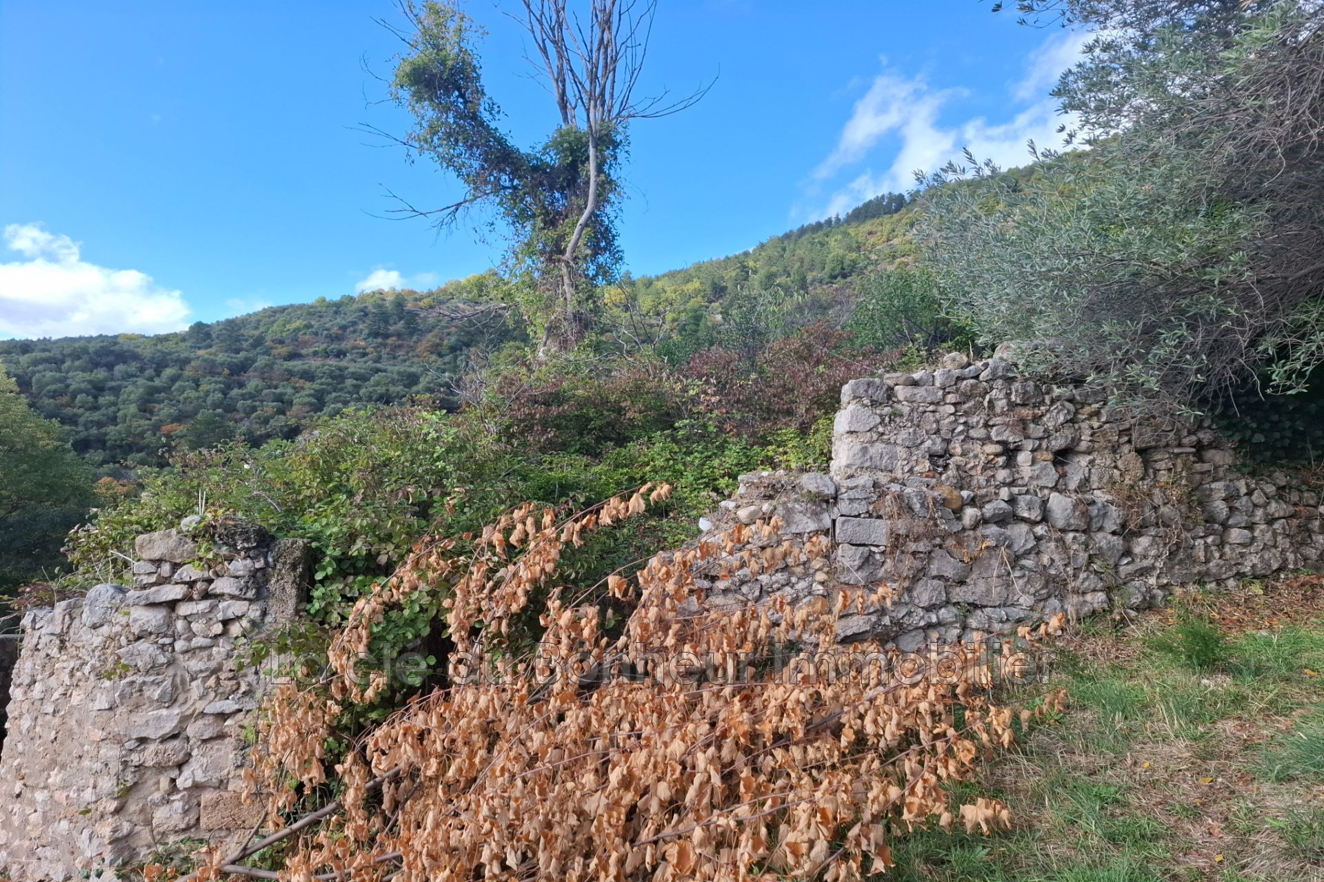 Agence immobilière de La clé du Bonheur Immobilier