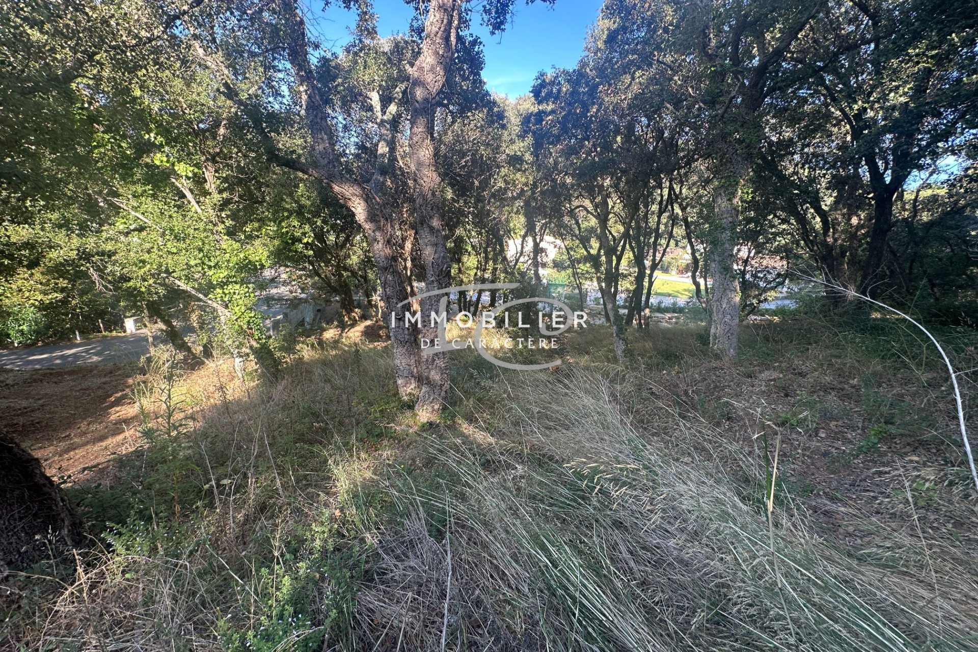 Agence immobilière de Immobilier de Caractère