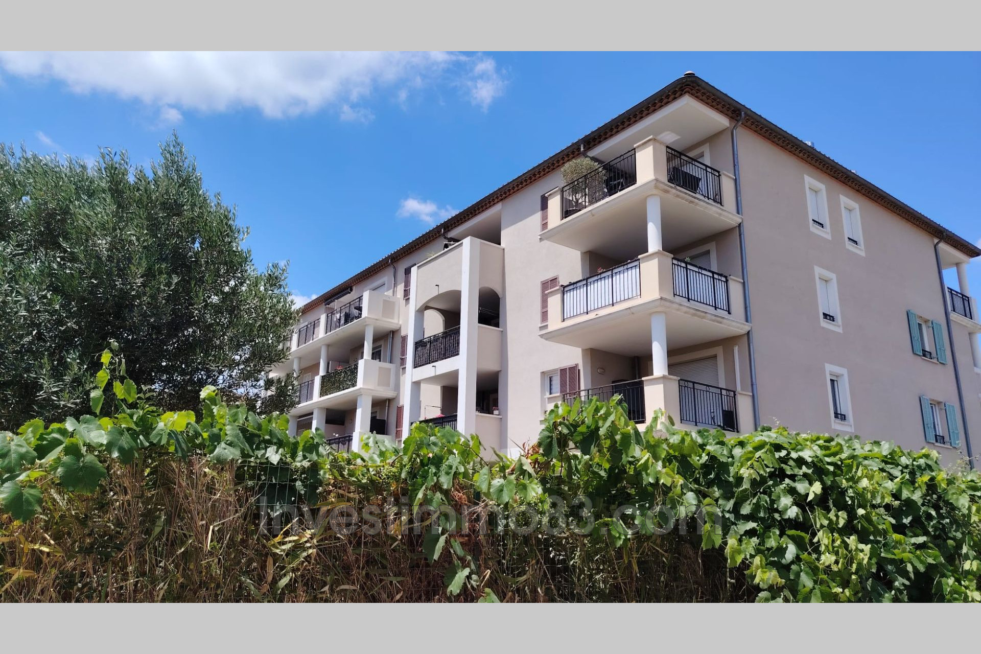 Image principale - La Crau