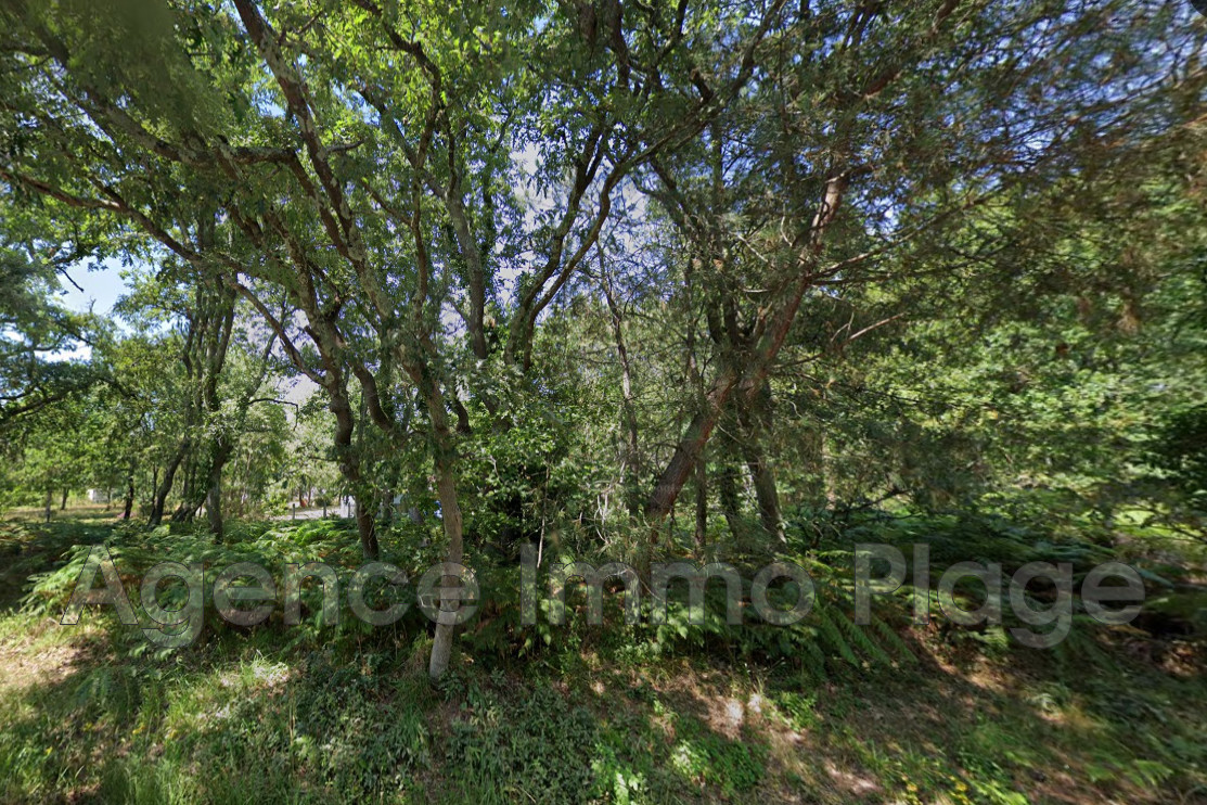 Agence immobilière de Agence Immo Plage