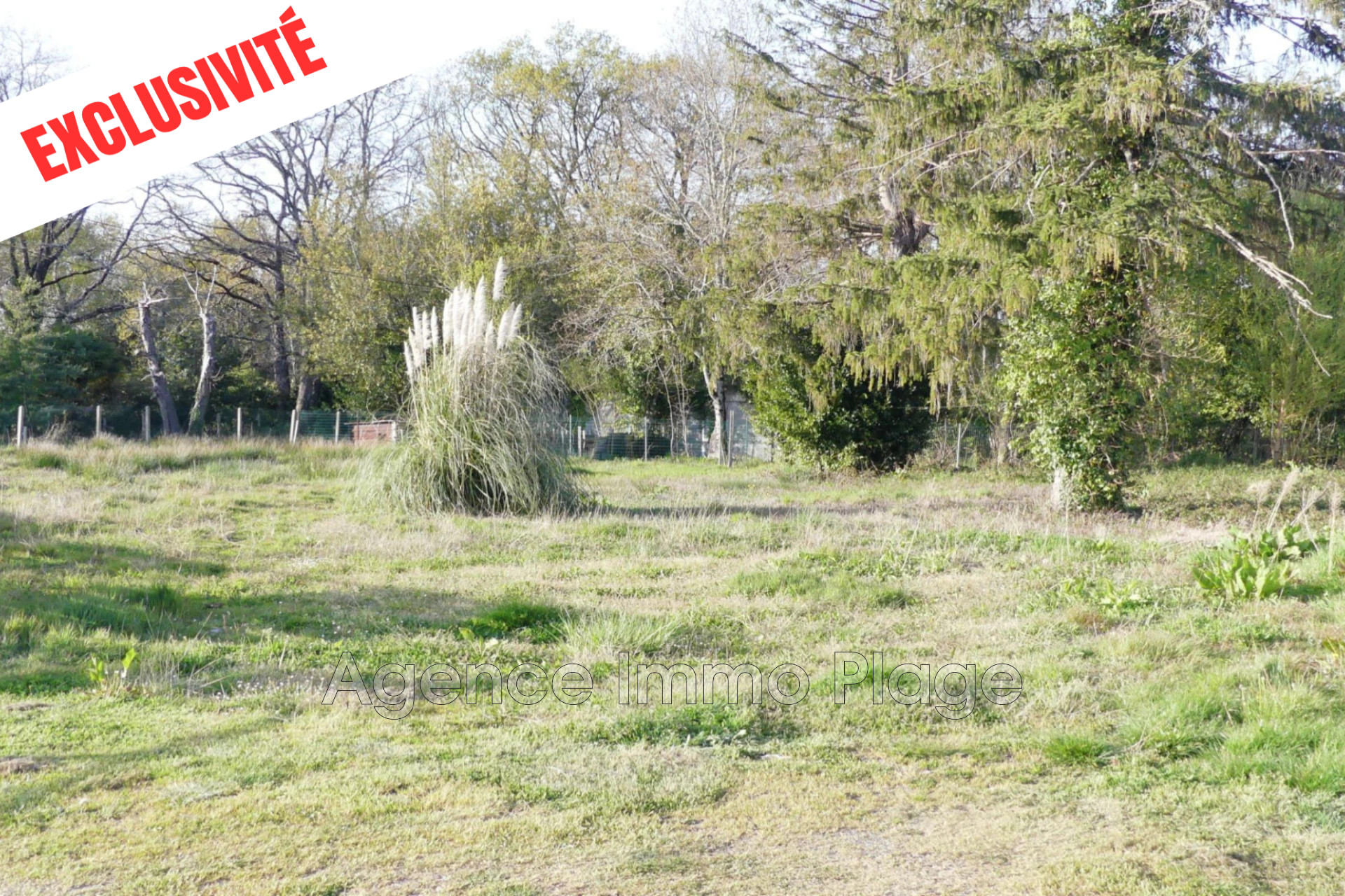 Agence immobilière de Agence Immo Plage