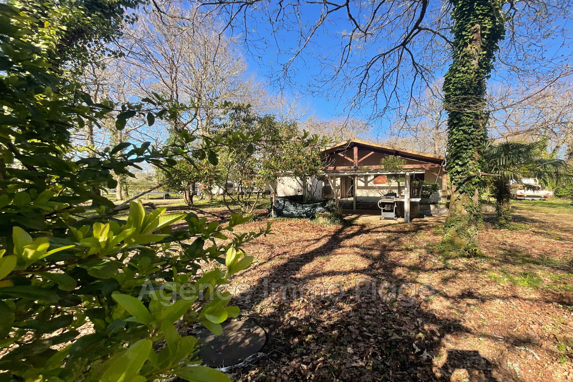 Agence immobilière de Agence Immo Plage