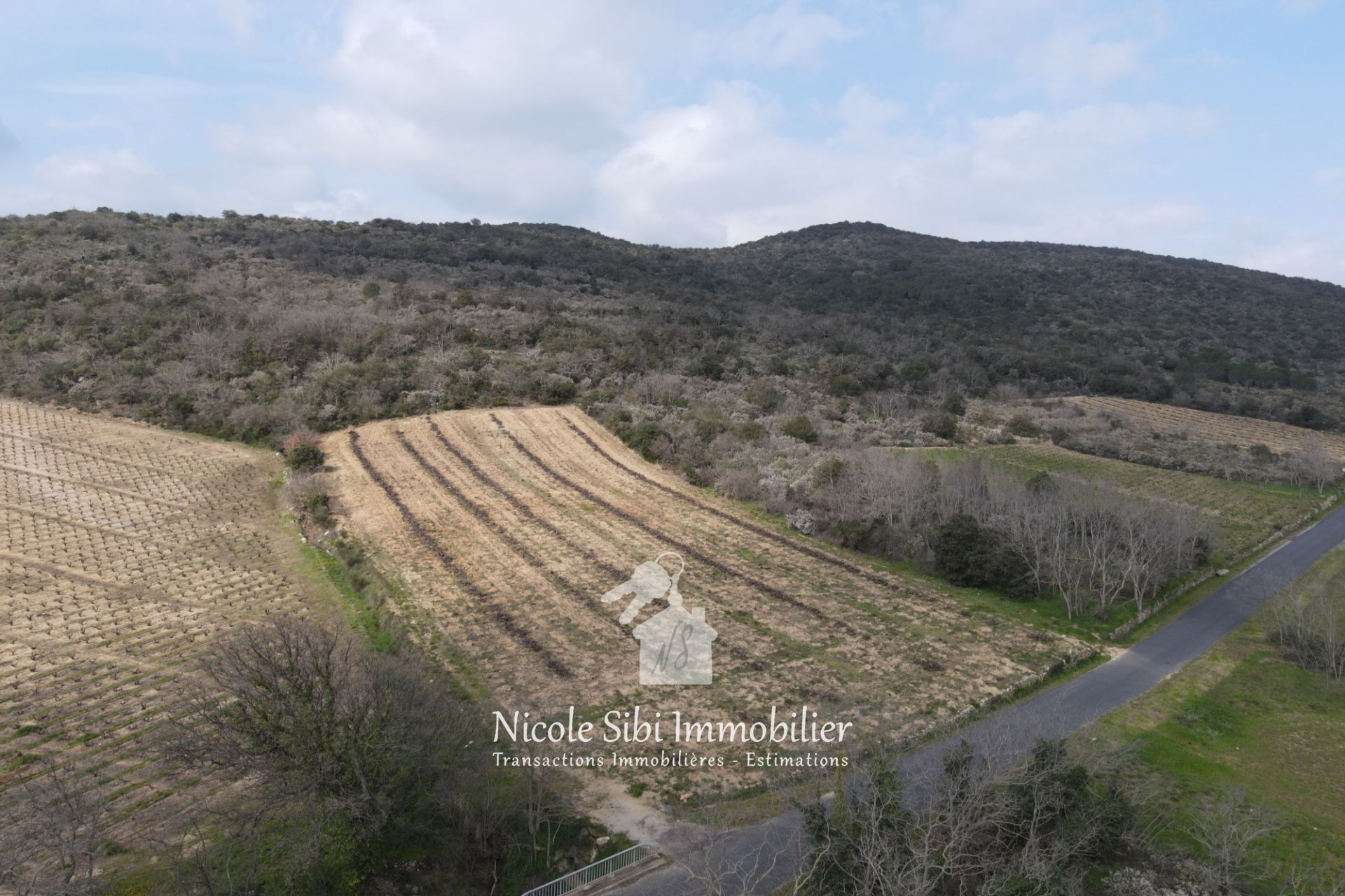 Agence immobilière de Nicole Sibi Immobilier