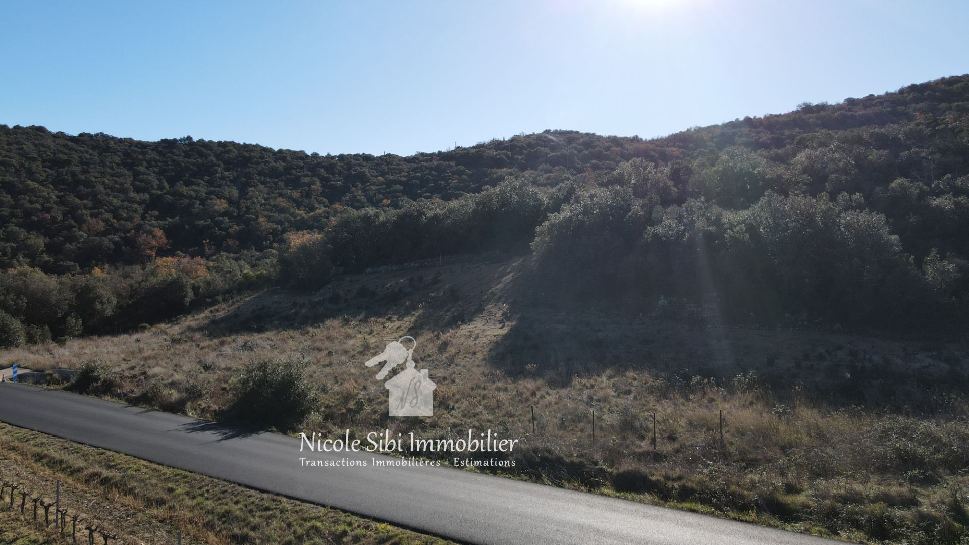 Agence immobilière de Nicole Sibi Immobilier