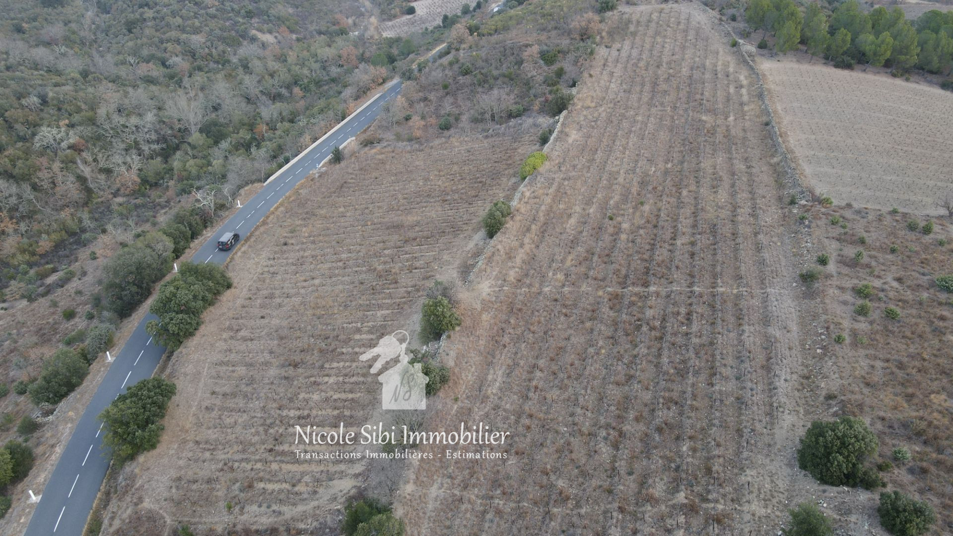 Agence immobilière de Nicole Sibi Immobilier