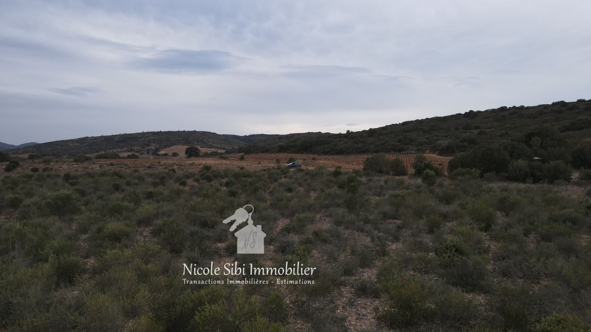 Agence immobilière de Nicole Sibi Immobilier