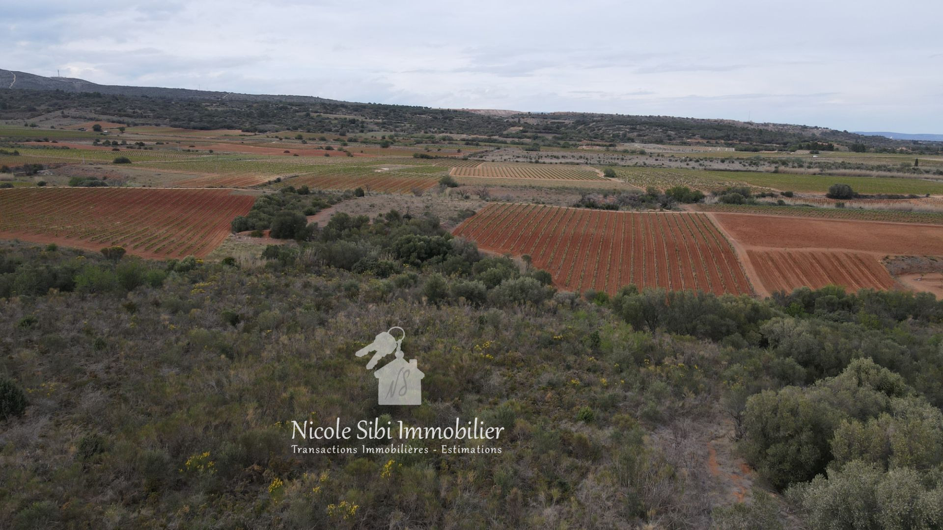 Agence immobilière de Nicole Sibi Immobilier