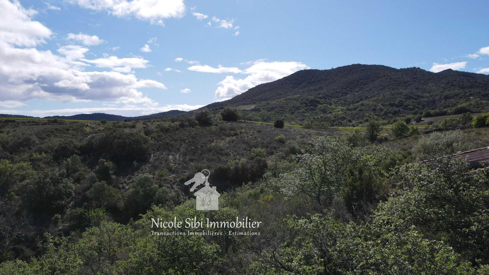 Agence immobilière de Nicole Sibi Immobilier