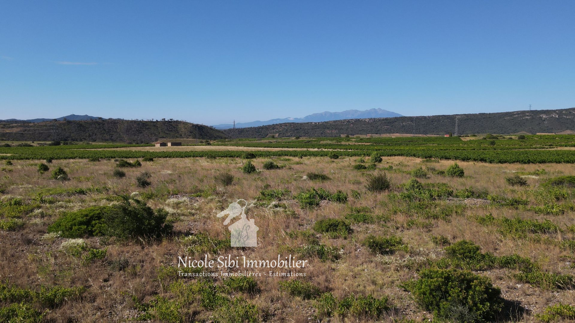 Agence immobilière de Nicole Sibi Immobilier