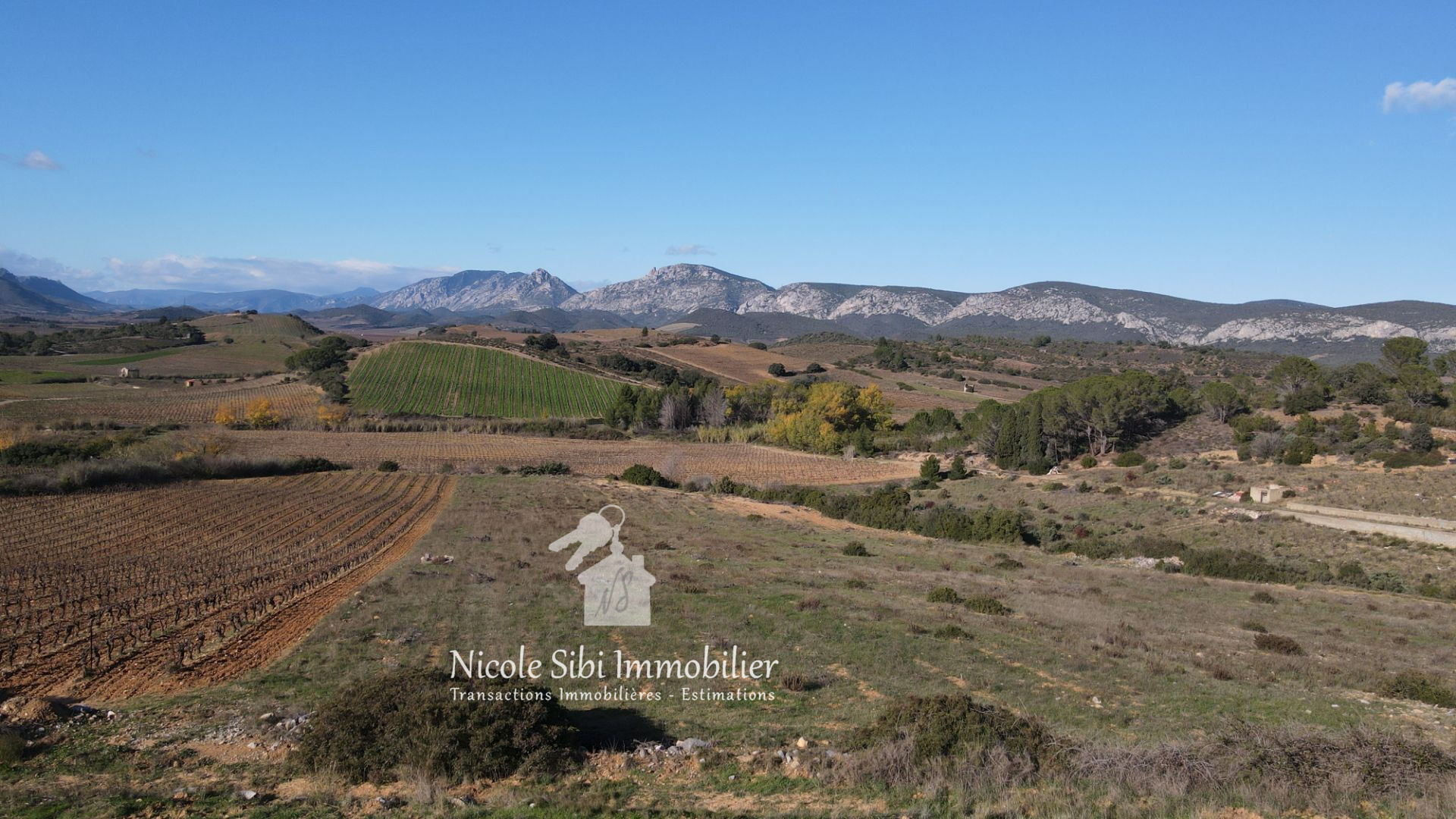 Agence immobilière de Nicole Sibi Immobilier