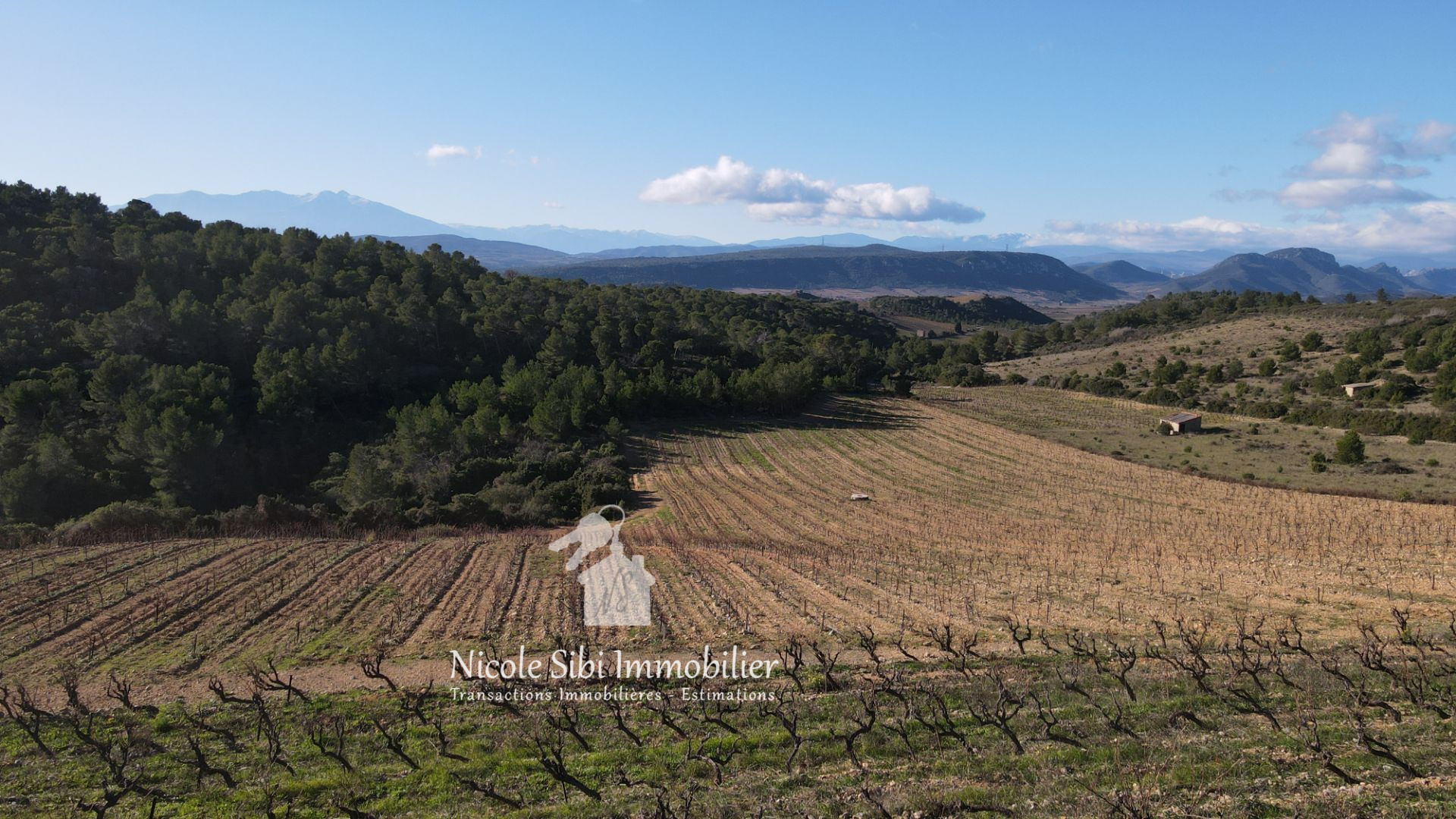 Agence immobilière de Nicole Sibi Immobilier