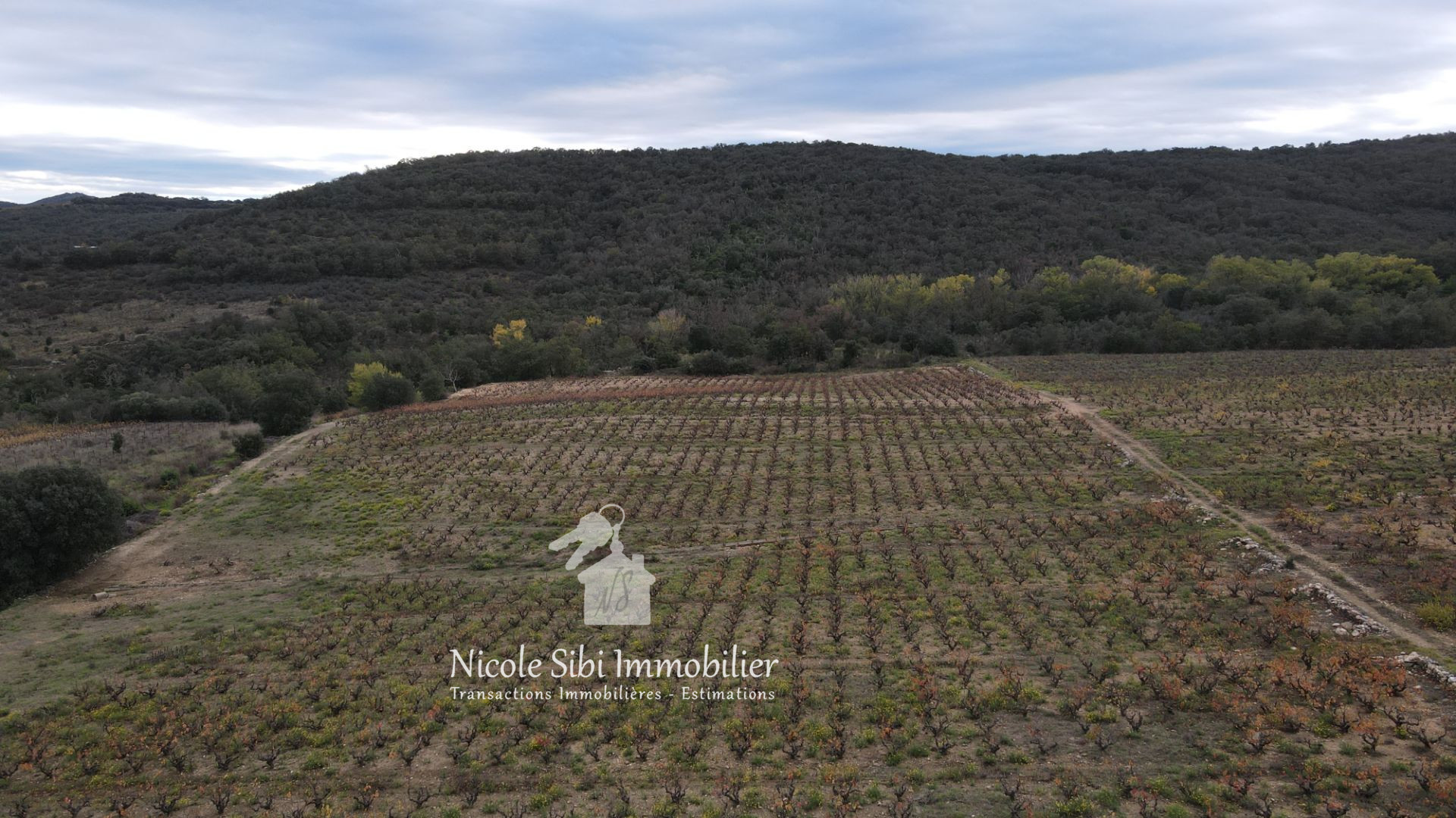 Agence immobilière de Nicole Sibi Immobilier