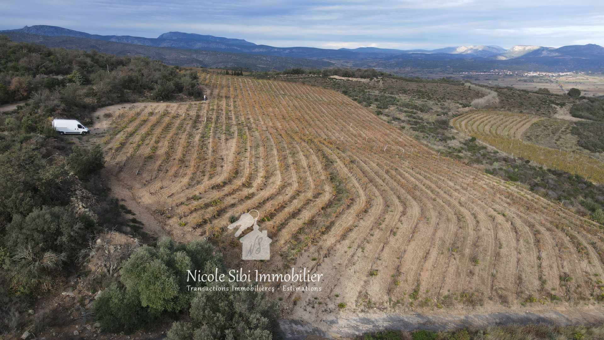 Agence immobilière de Nicole Sibi Immobilier