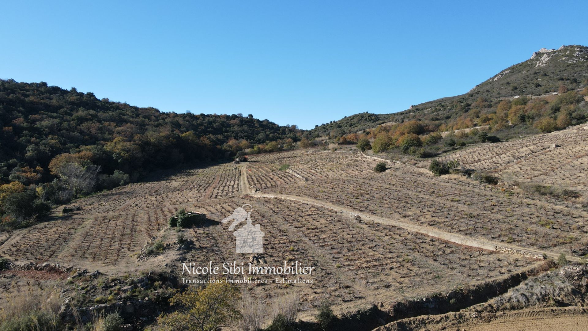 Agence immobilière de Nicole Sibi Immobilier