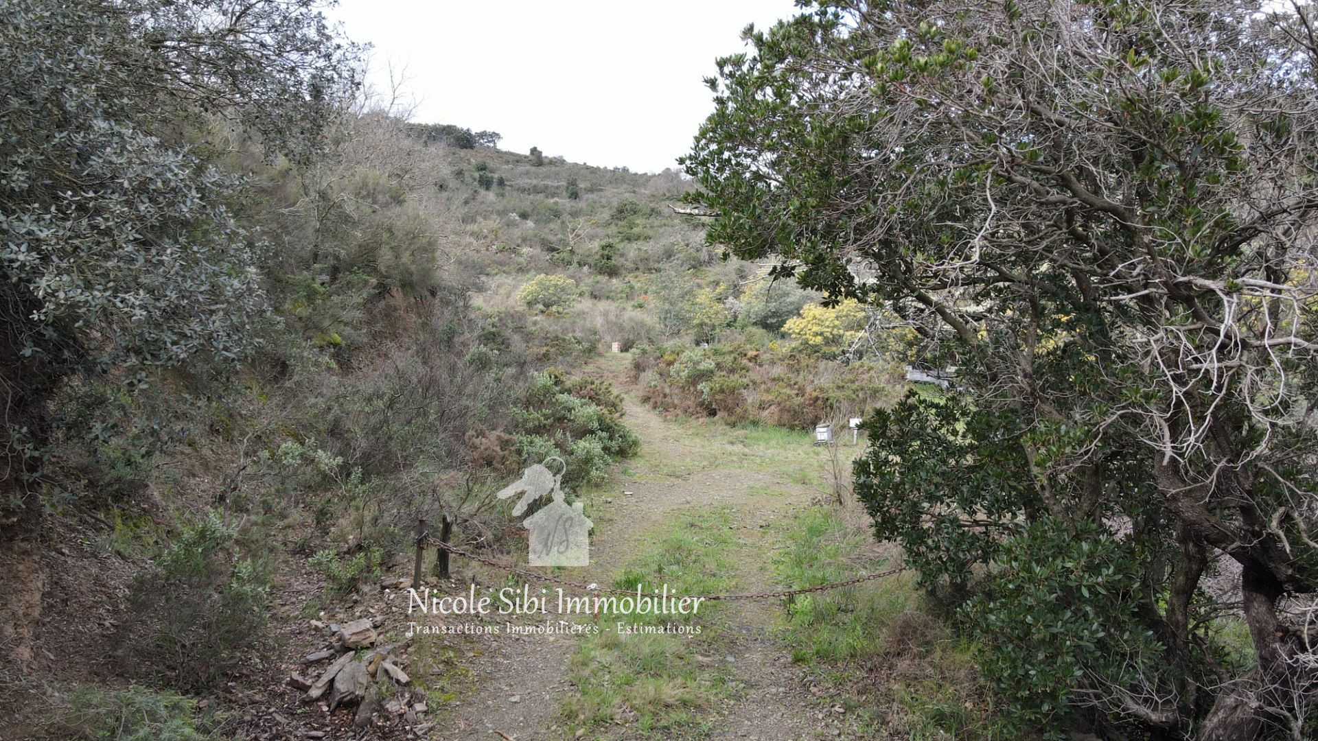 Agence immobilière de Nicole Sibi Immobilier