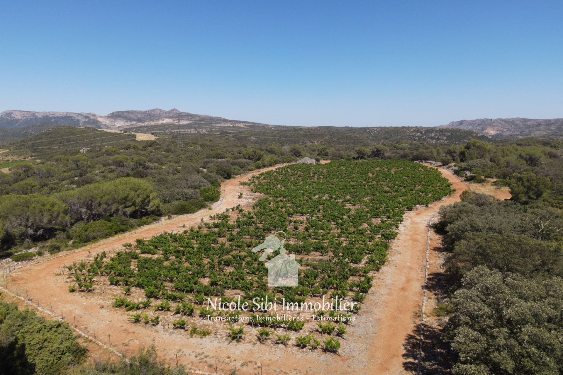 Agence immobilière de Nicole Sibi Immobilier