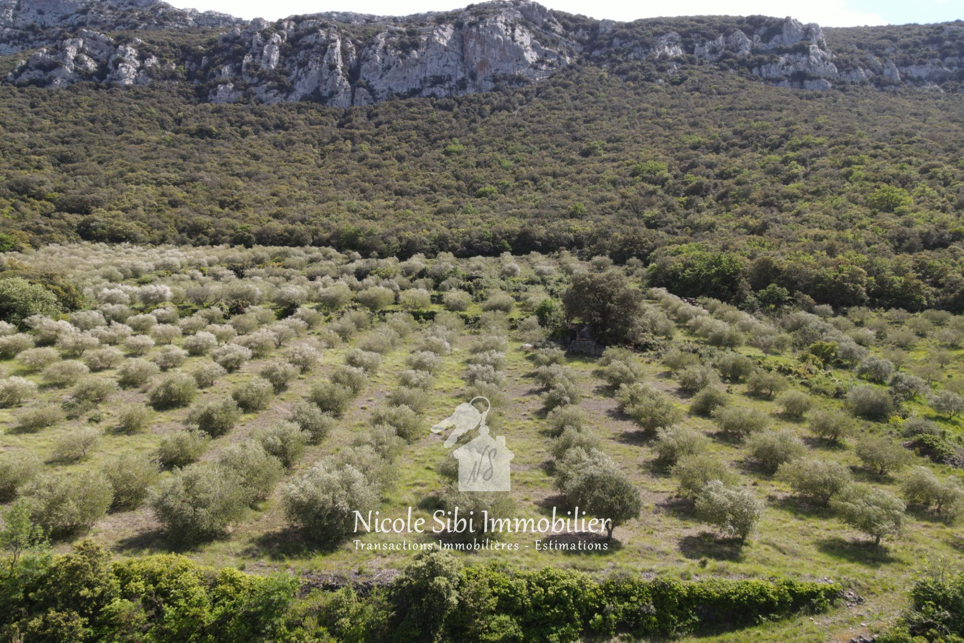Agence immobilière de Nicole Sibi Immobilier