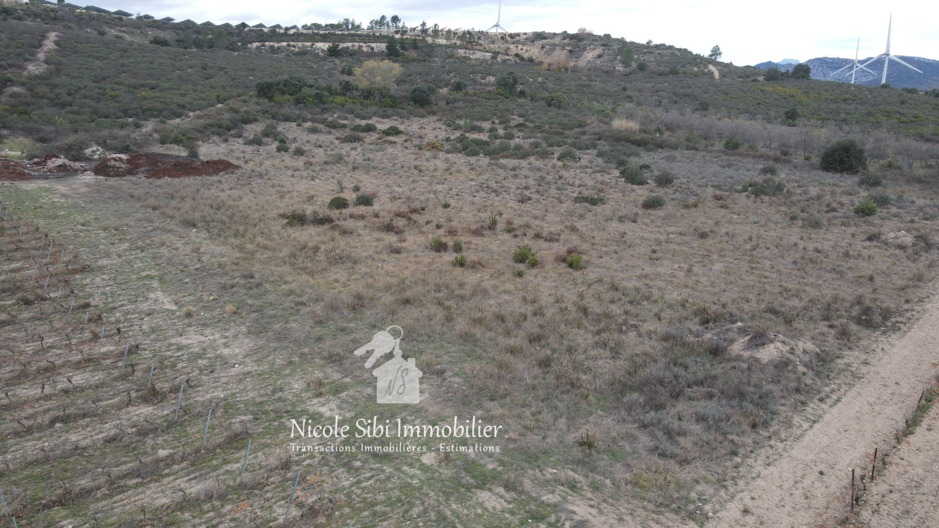 Agence immobilière de Nicole Sibi Immobilier