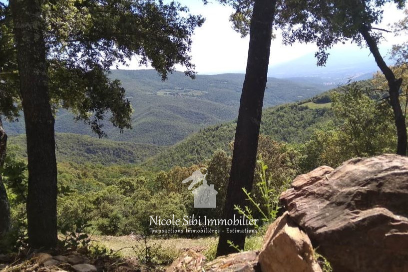 Agence immobilière de Nicole Sibi Immobilier