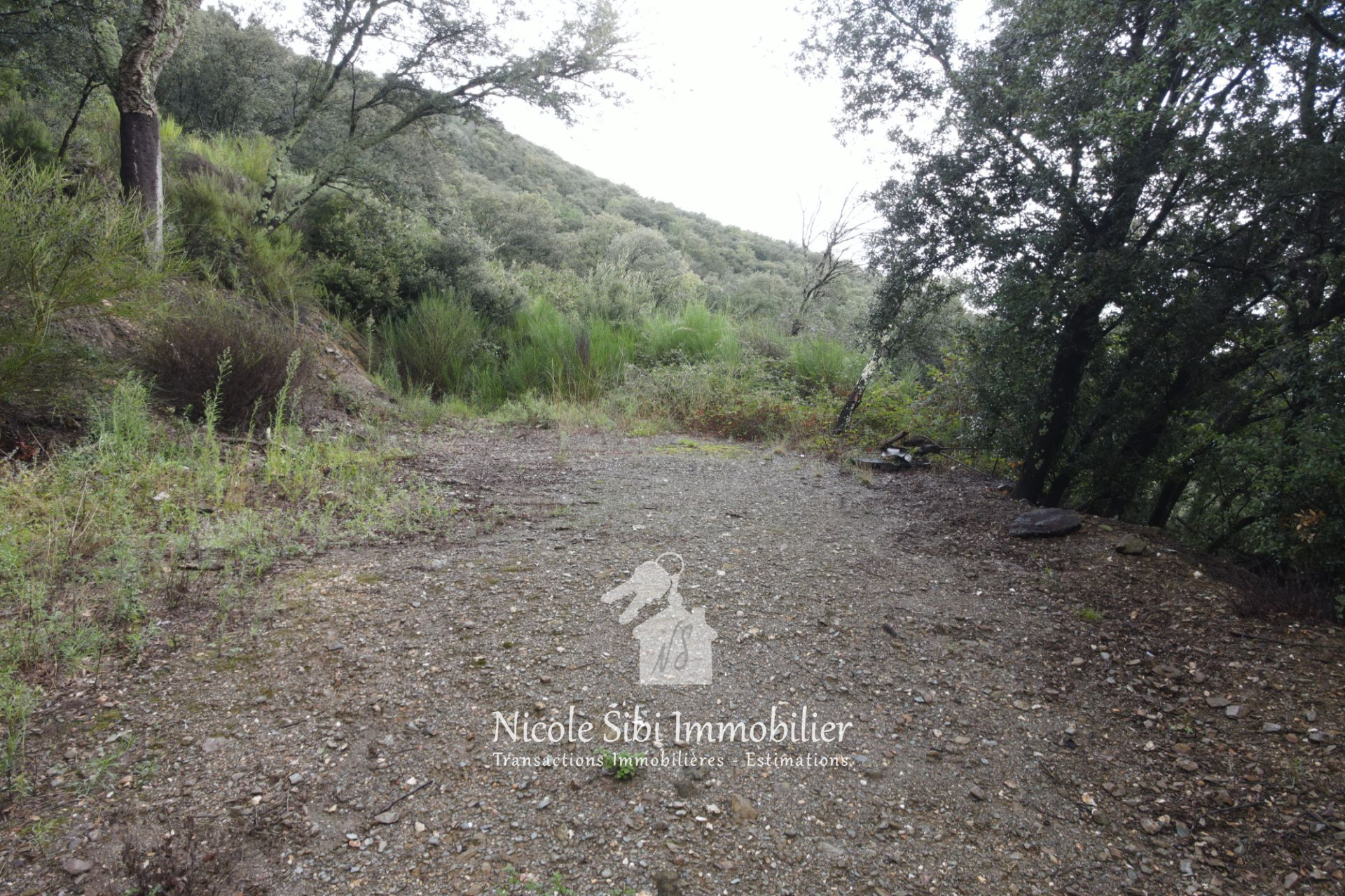 Agence immobilière de Nicole Sibi Immobilier