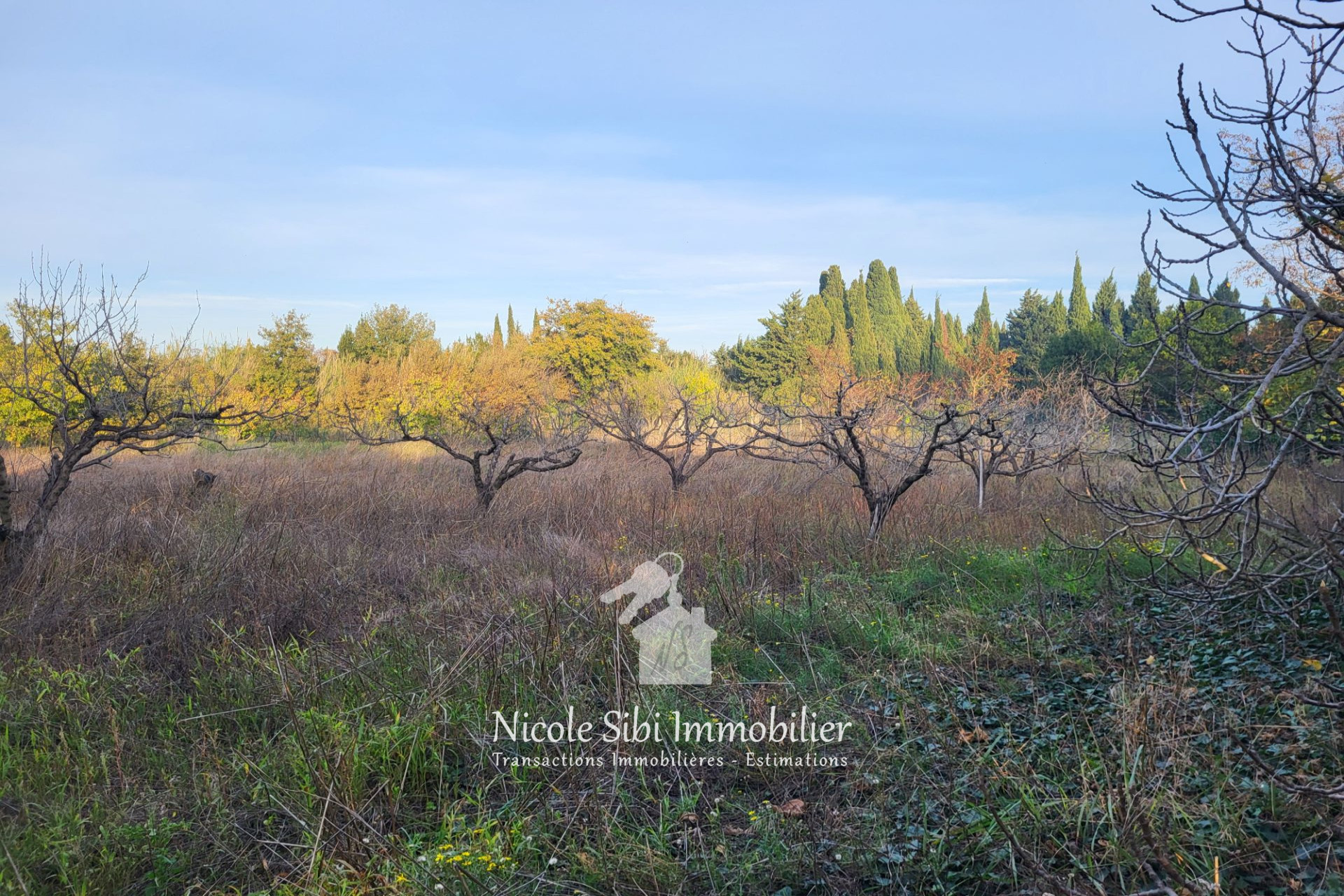 Agence immobilière de Nicole Sibi Immobilier