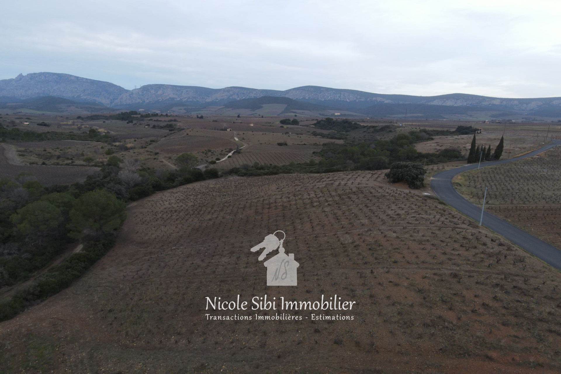 Agence immobilière de Nicole Sibi Immobilier