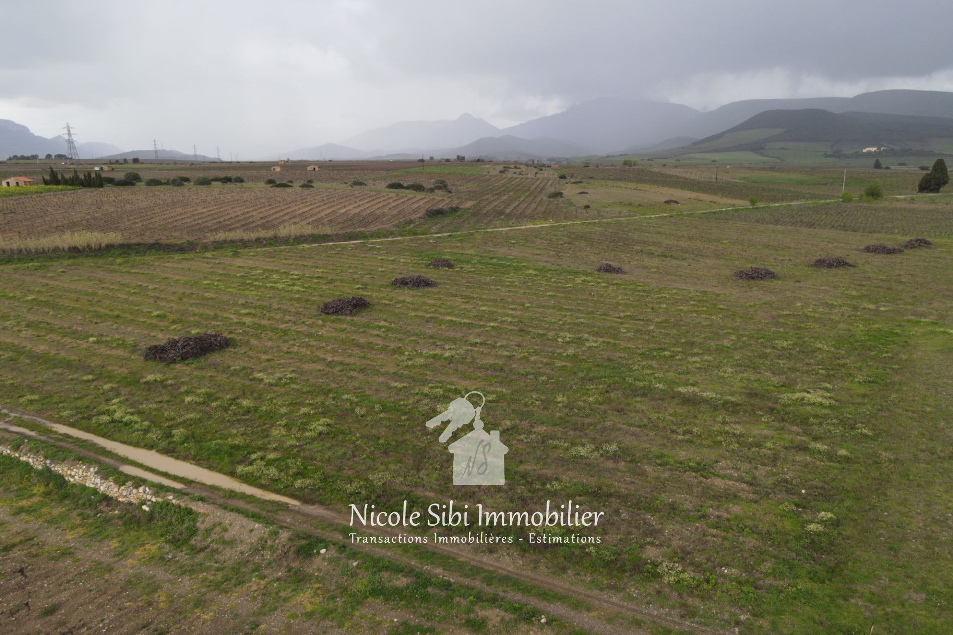 Agence immobilière de Nicole Sibi Immobilier