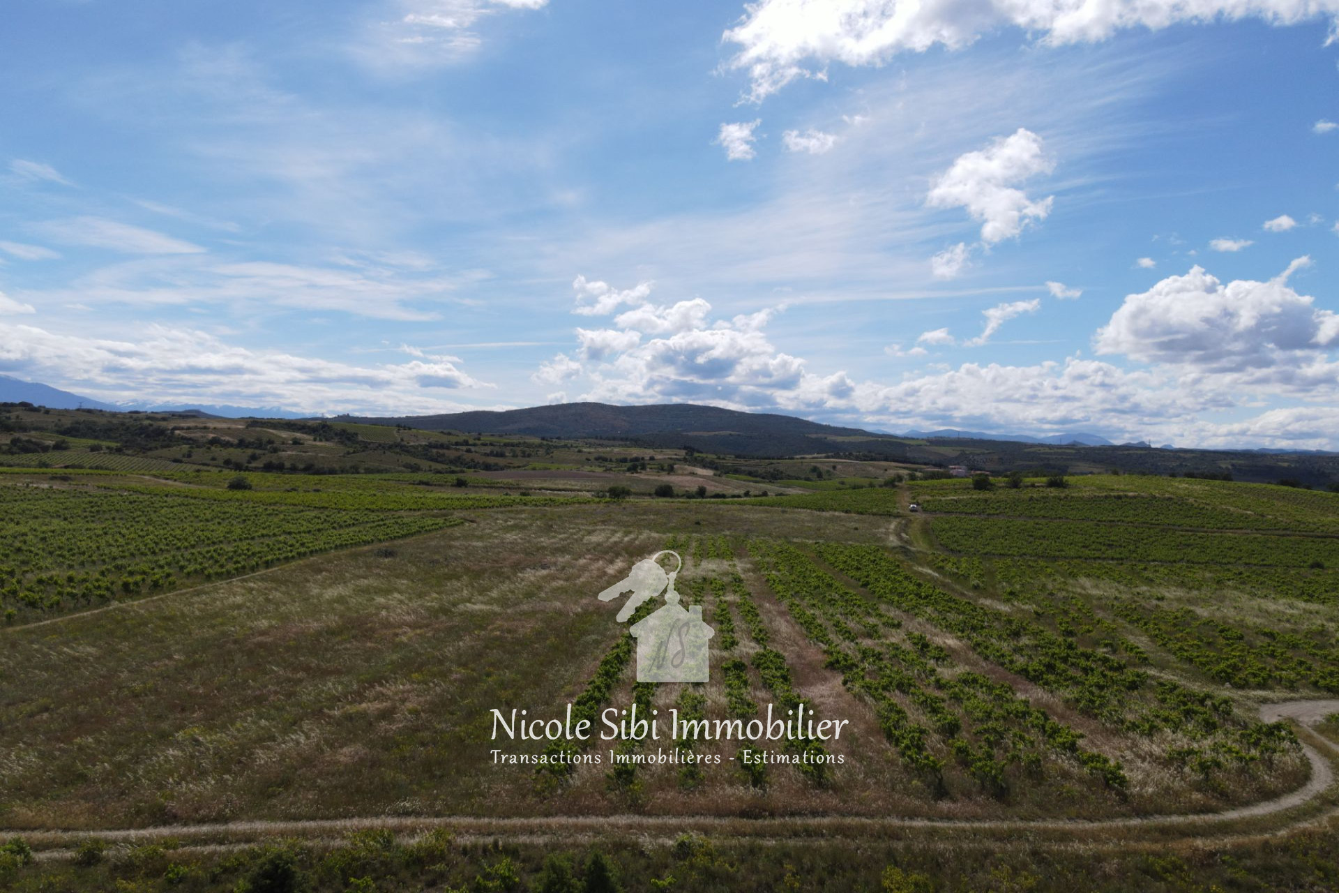 Agence immobilière de Nicole Sibi Immobilier
