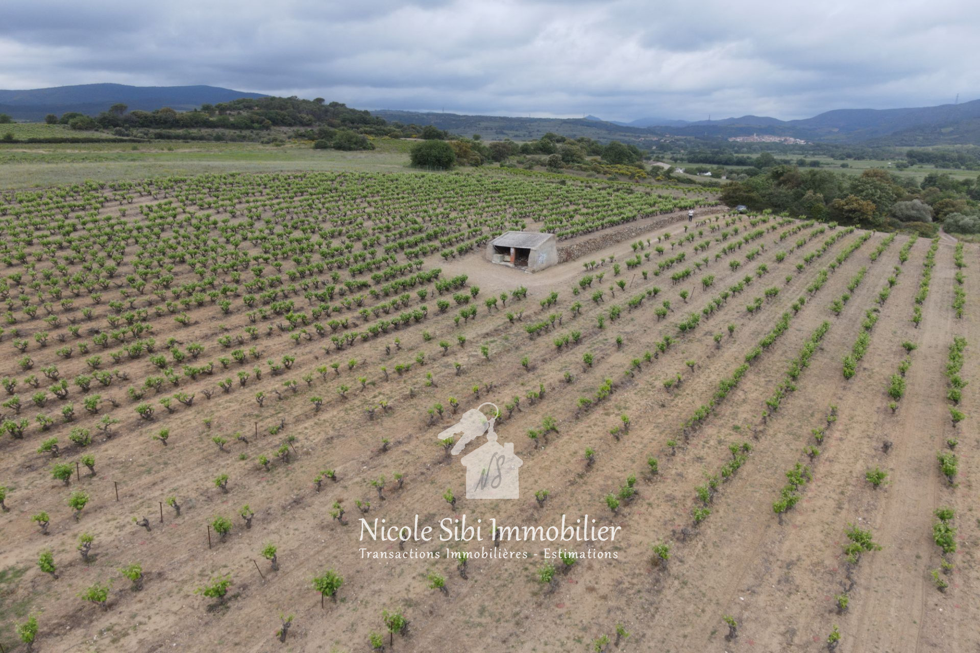 Agence immobilière de Nicole Sibi Immobilier