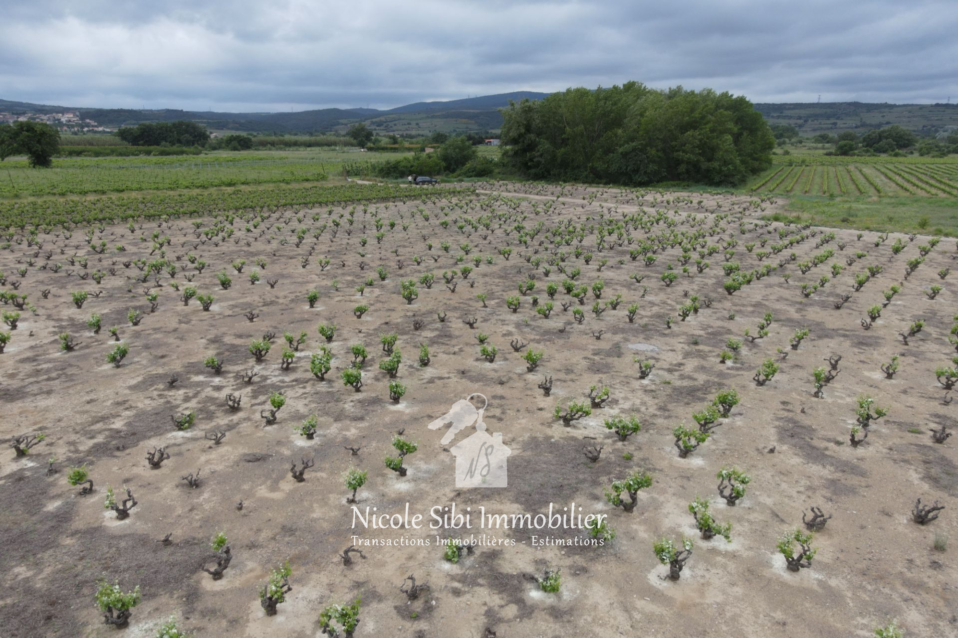 Agence immobilière de Nicole Sibi Immobilier