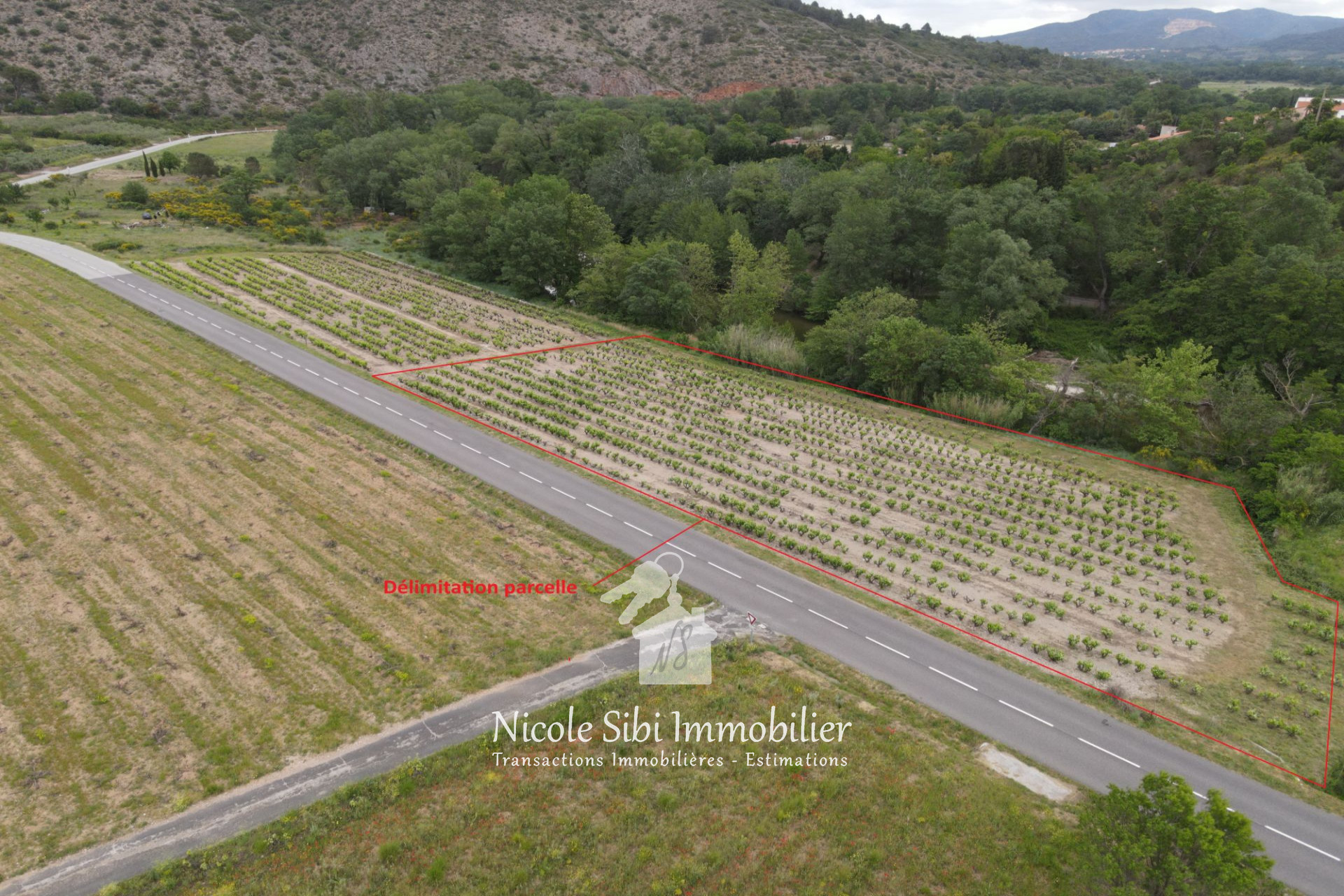 Agence immobilière de Nicole Sibi Immobilier