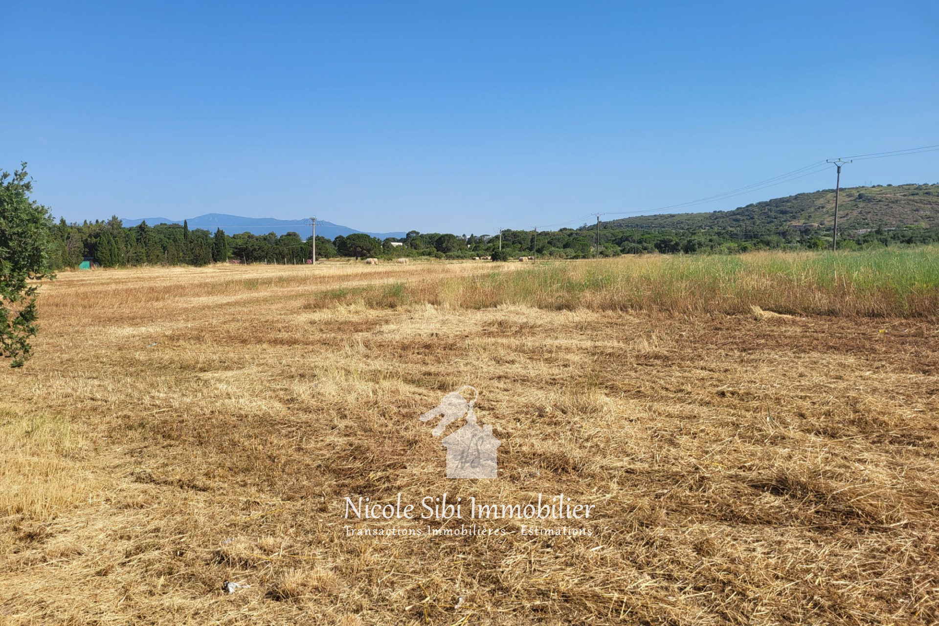 Agence immobilière de Nicole Sibi Immobilier