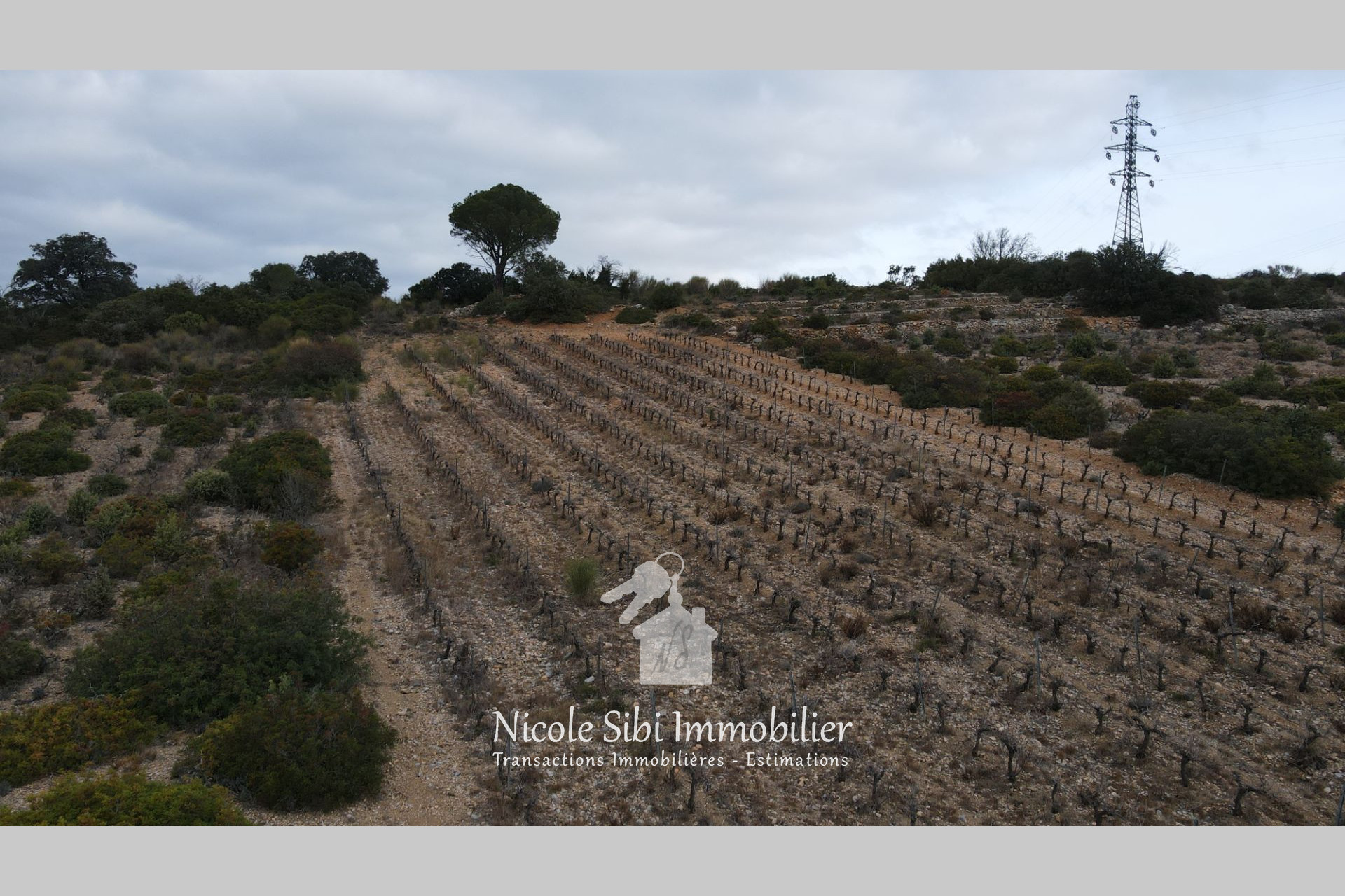 Agence immobilière de Nicole Sibi Immobilier