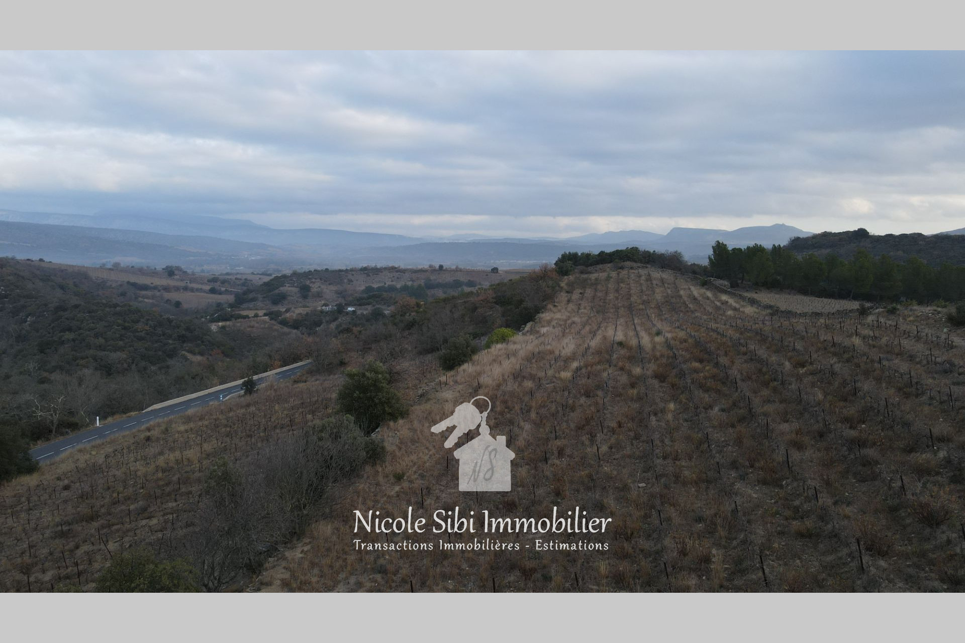 Agence immobilière de Nicole Sibi Immobilier