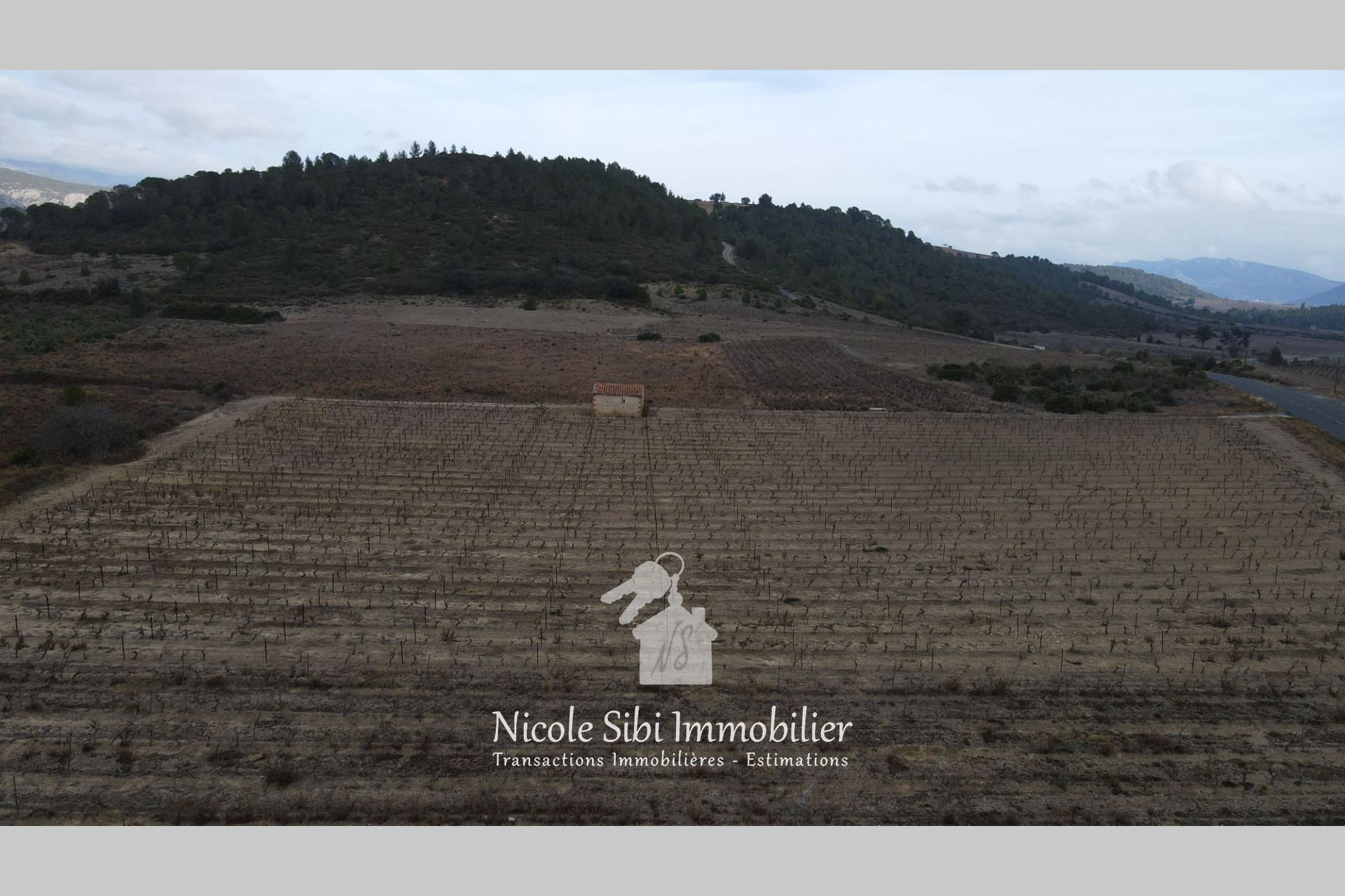 Agence immobilière de Nicole Sibi Immobilier