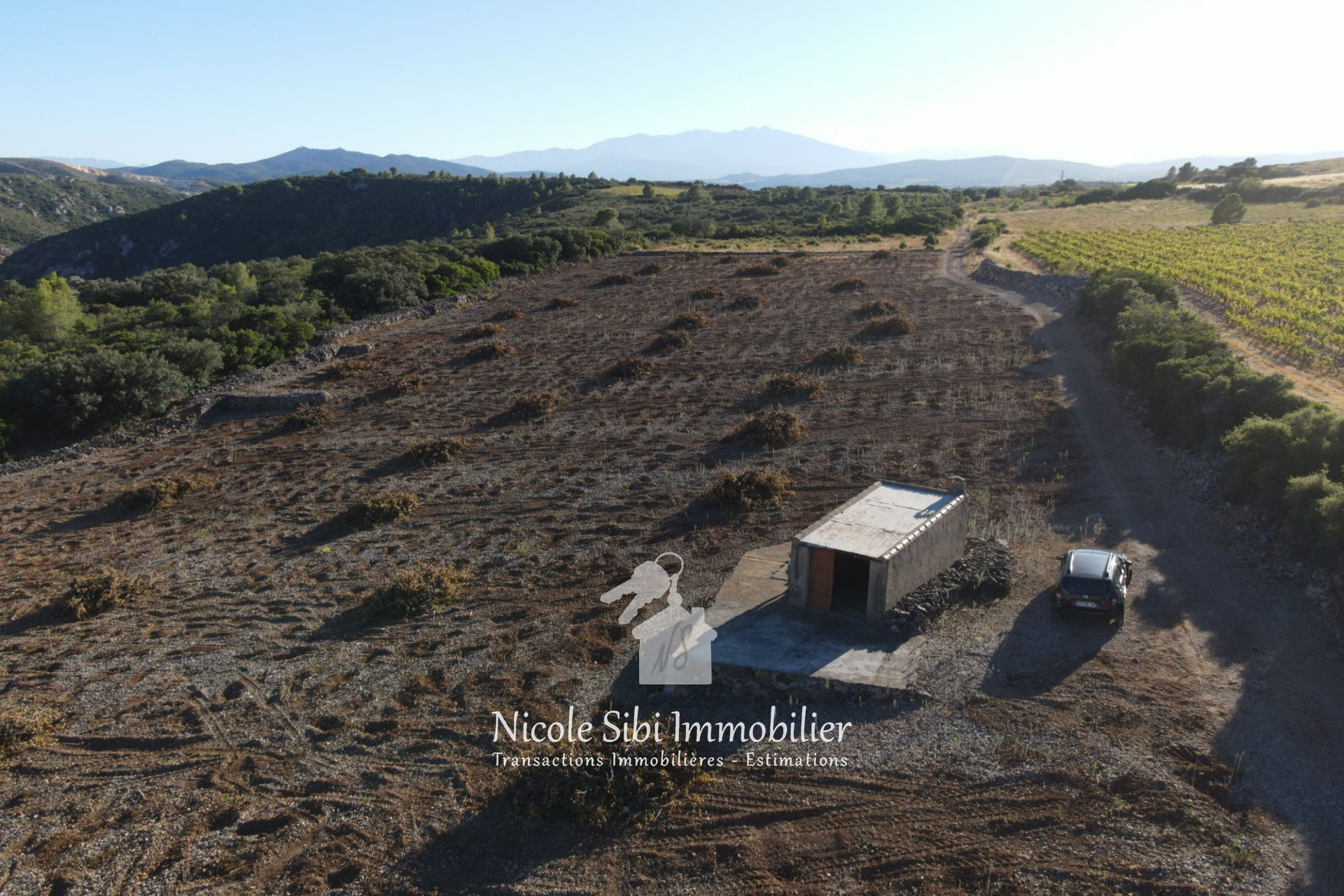 Agence immobilière de Nicole Sibi Immobilier