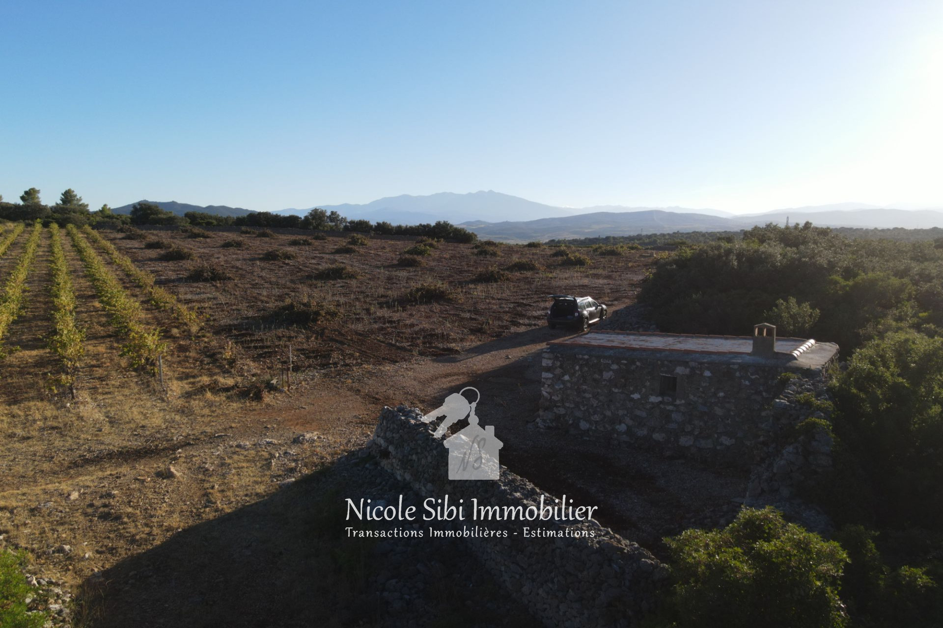 Agence immobilière de Nicole Sibi Immobilier