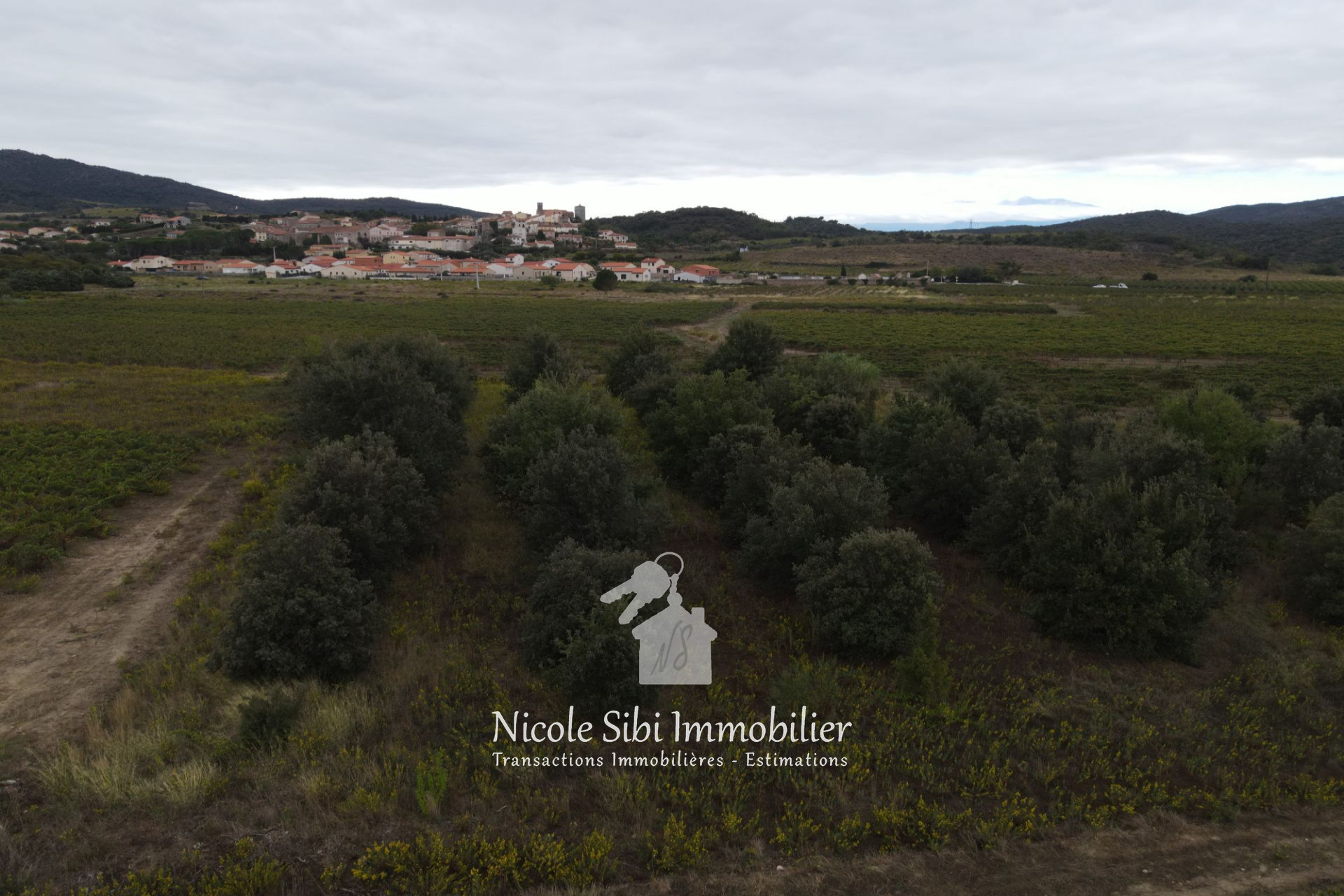 Agence immobilière de Nicole Sibi Immobilier