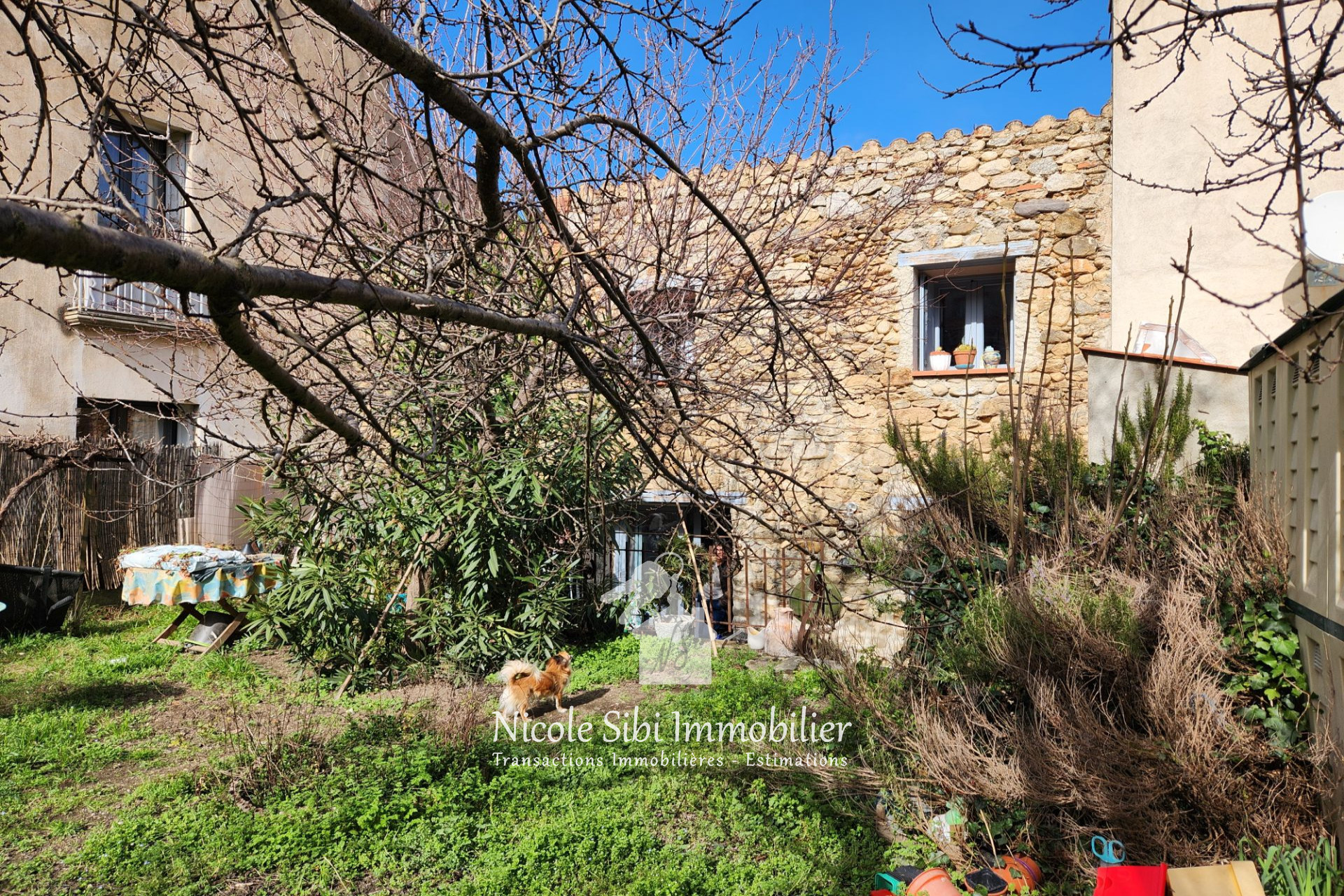 Image principale - Ria-Sirach
