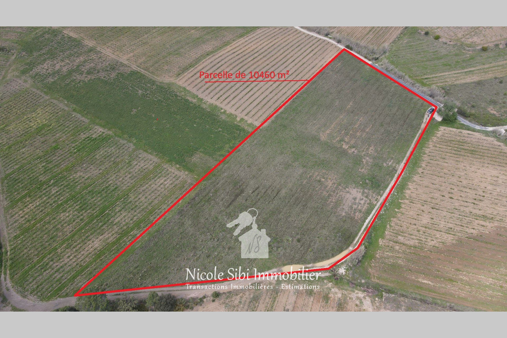 Agence immobilière de Nicole Sibi Immobilier