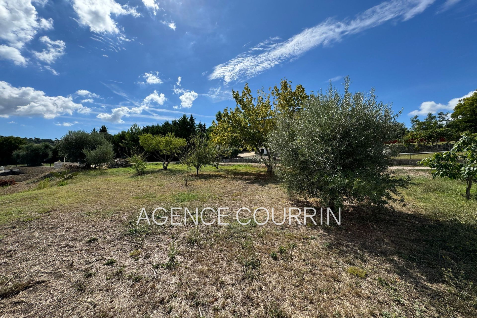 Agence immobilière de Agence Courrin